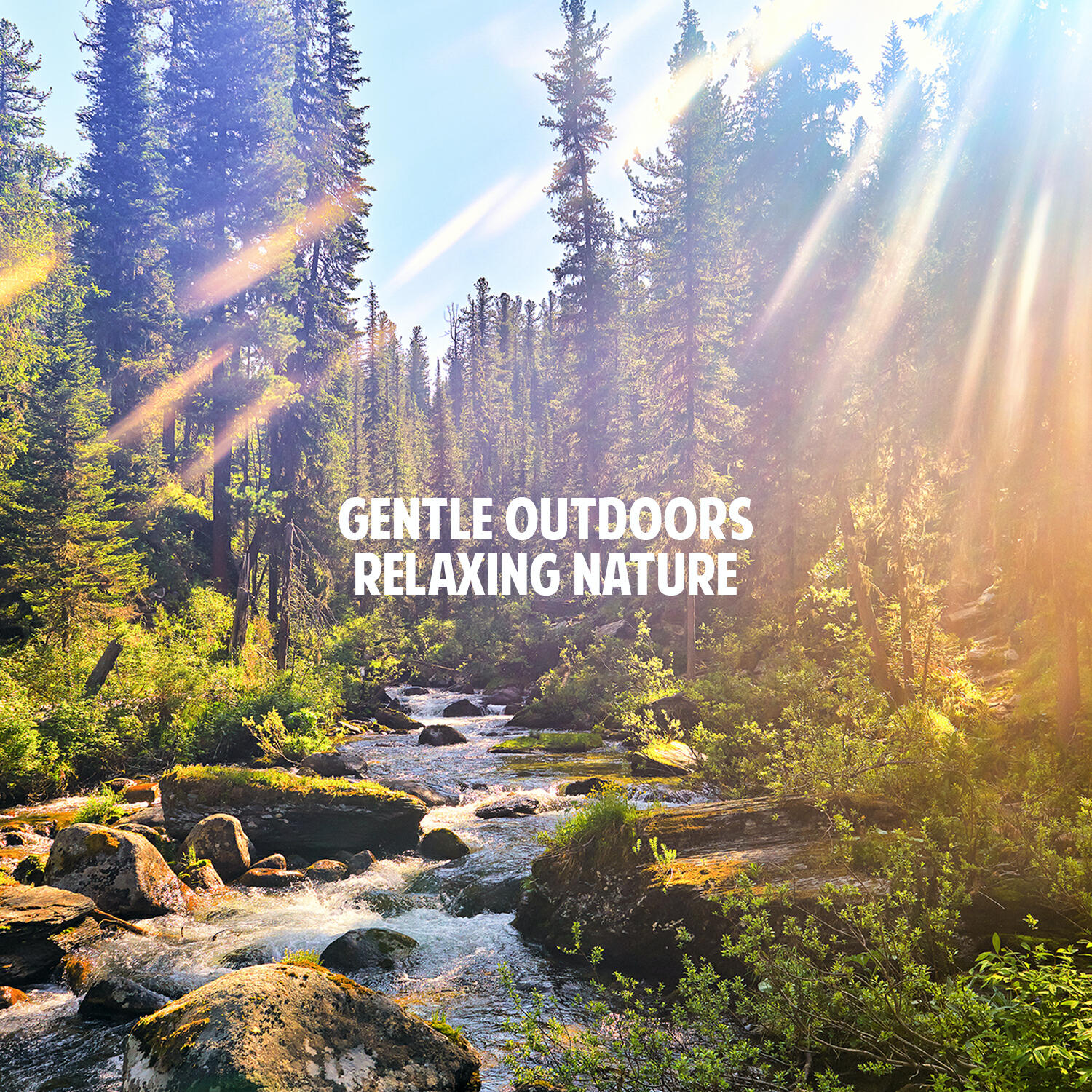 Релиз Relaxing Nature