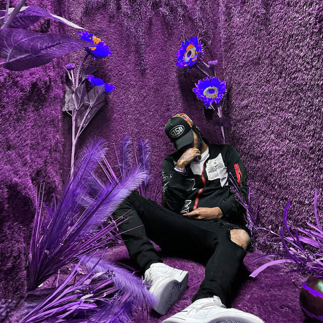 Релиз Feel Sum