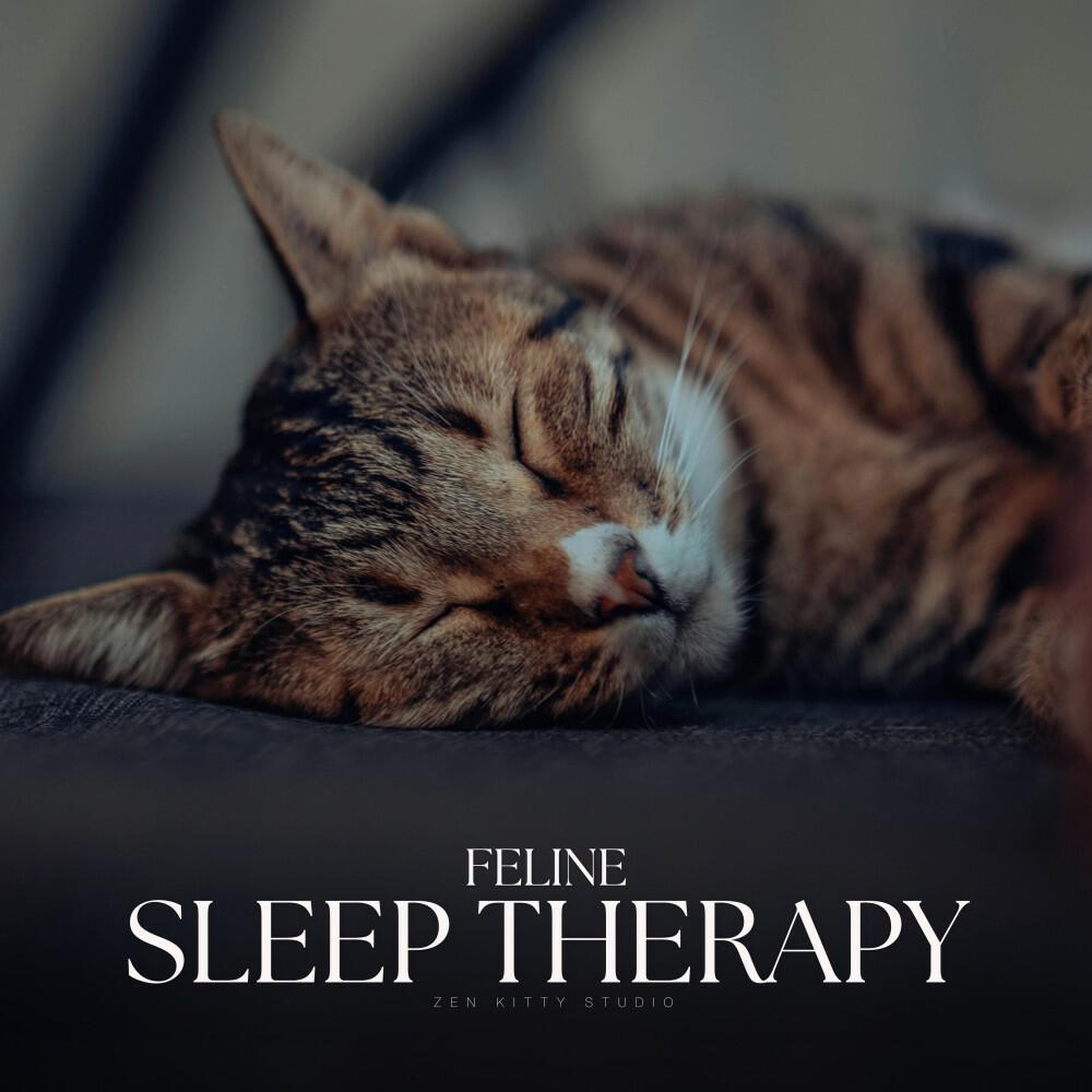 Релиз Feline Sleep Therapy