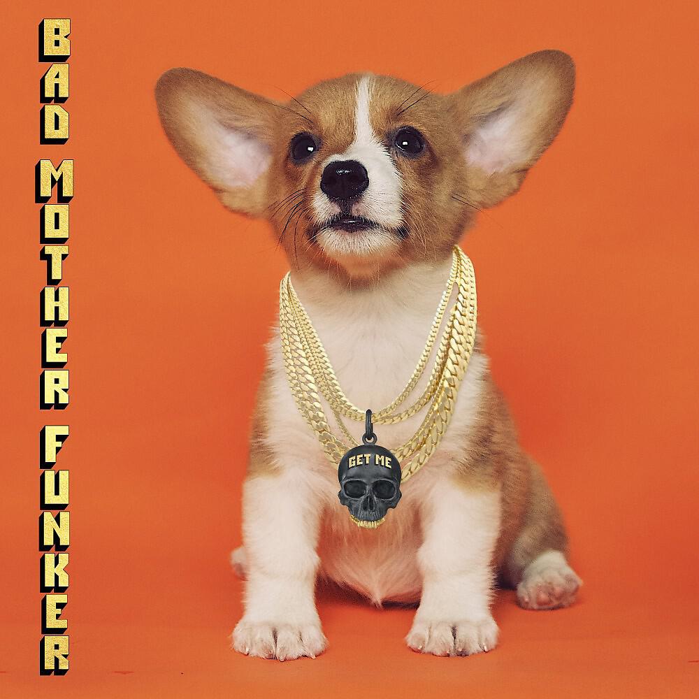 Релиз Bad Mother Funker (Radio Edit)