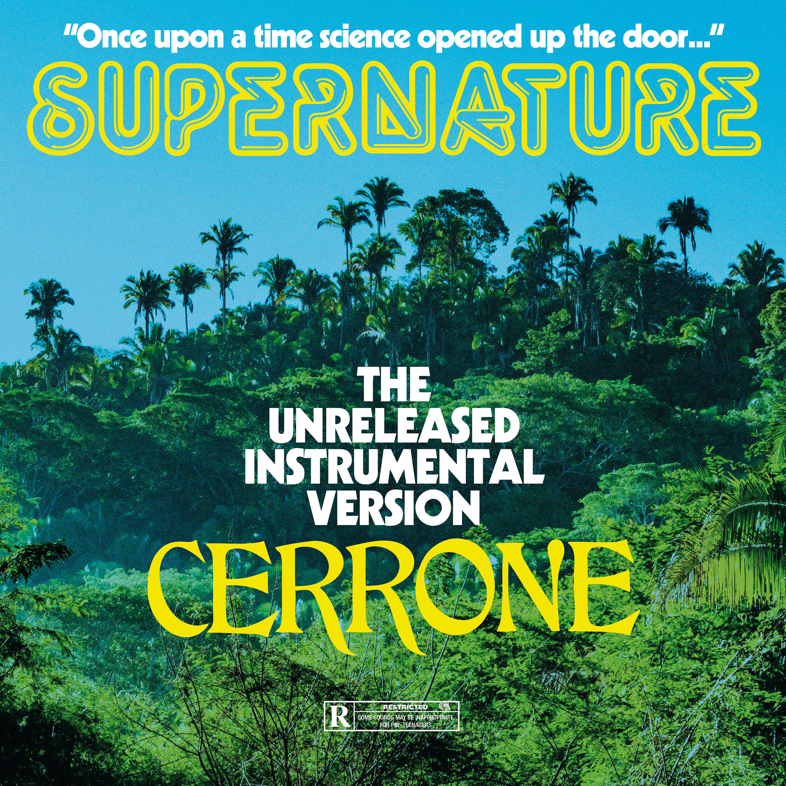 Релиз Supernature (instrumental)