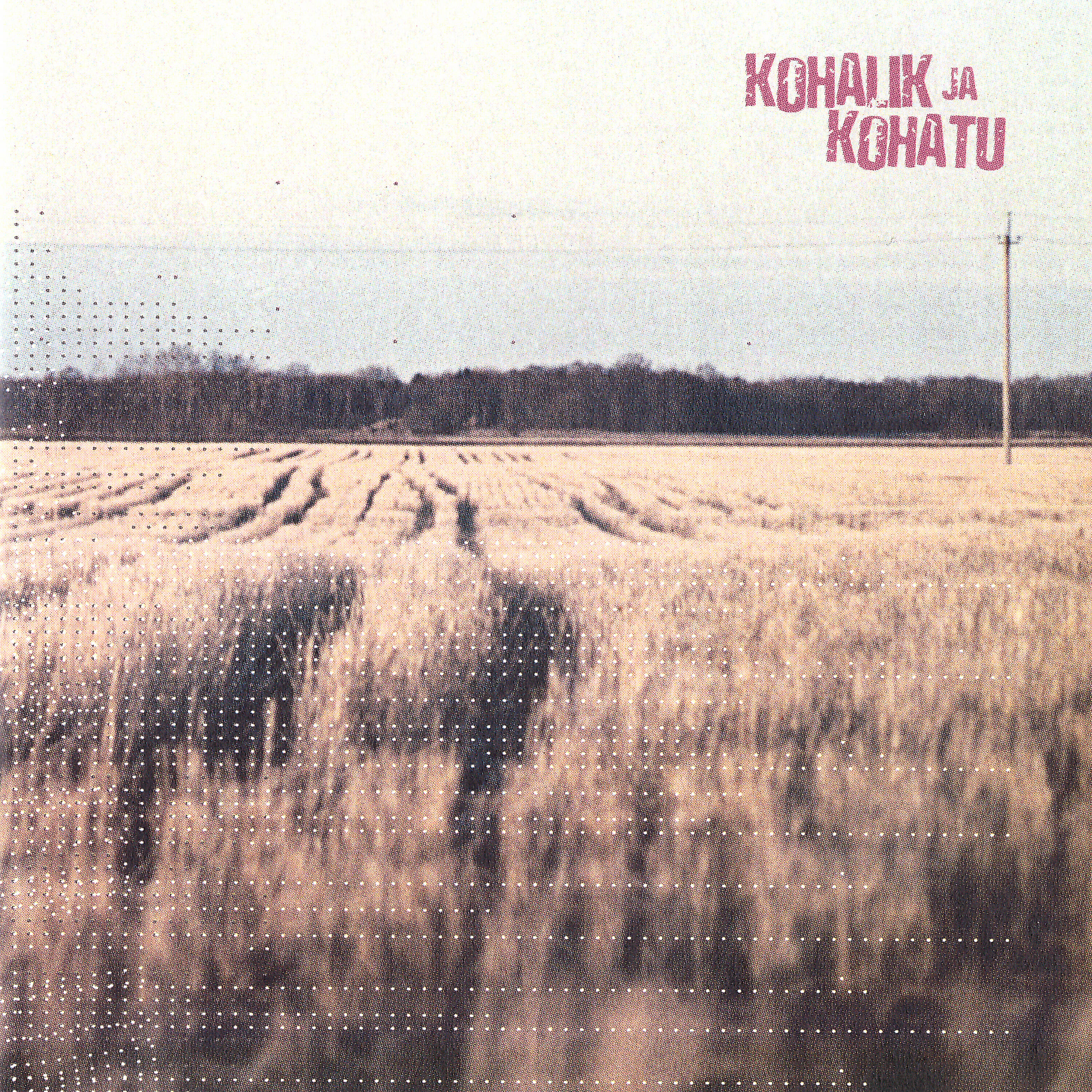 Релиз Kohalik Ja Kohatu (Compilation of Estonian Independent Music)