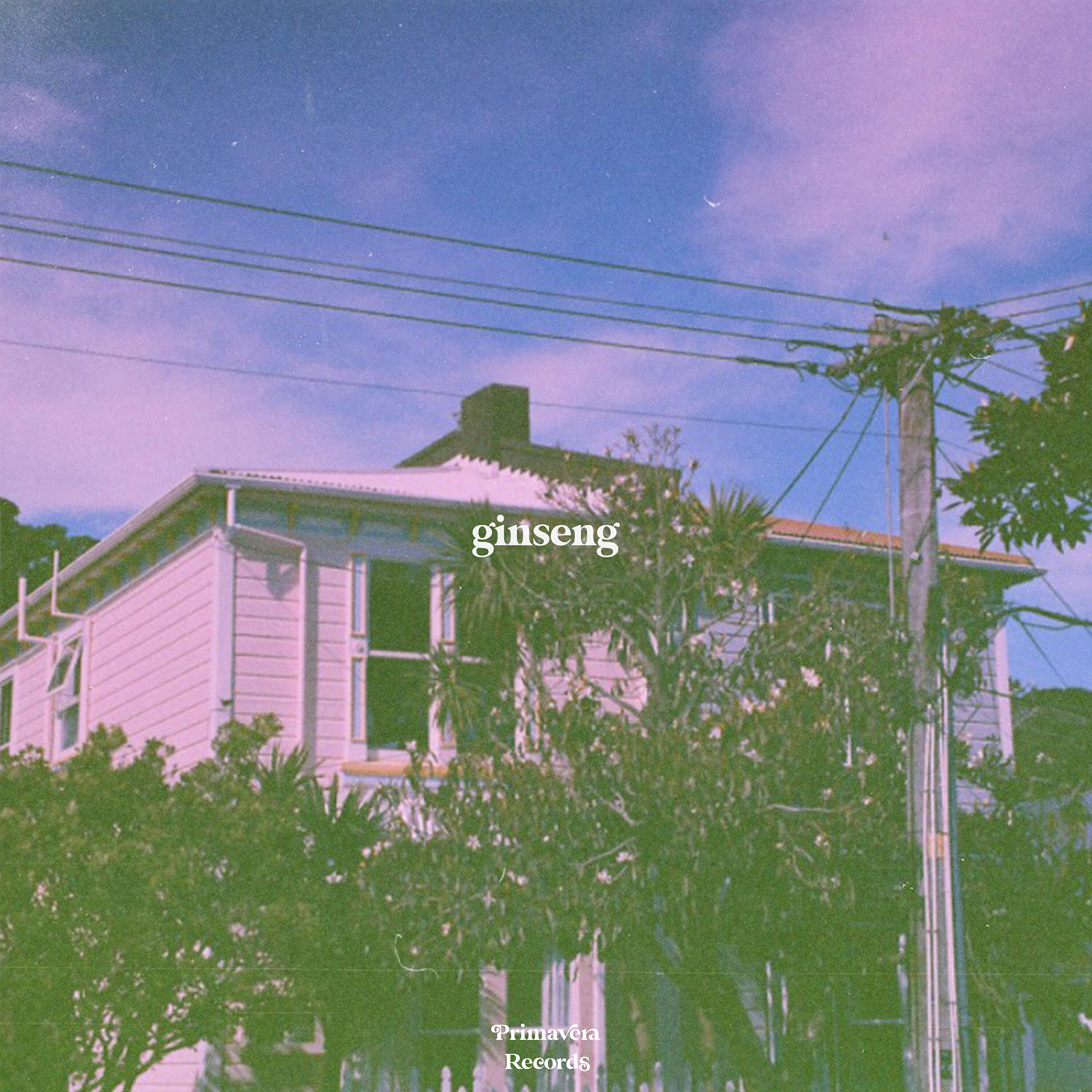 Трек ginseng