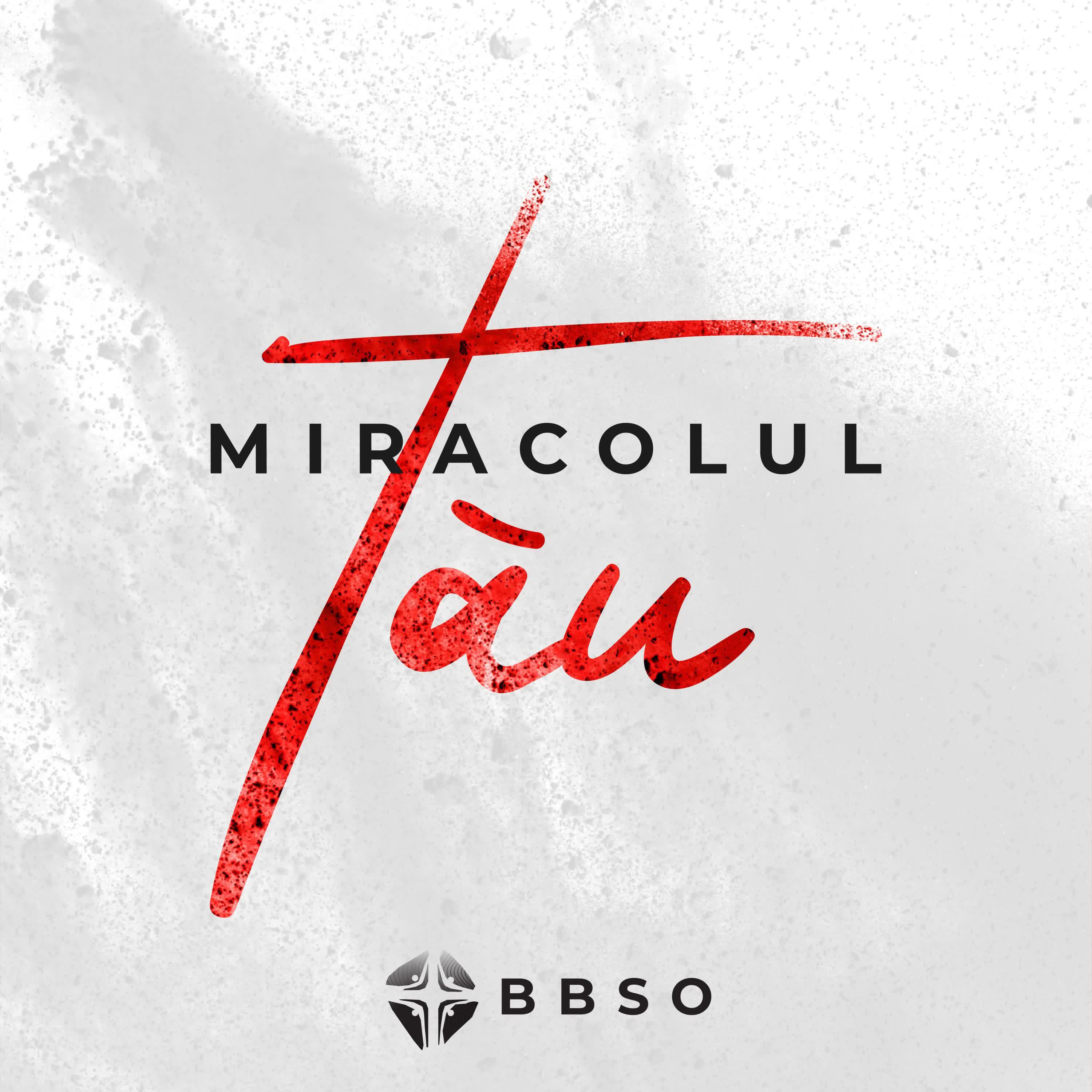 Релиз Miracolul Tău