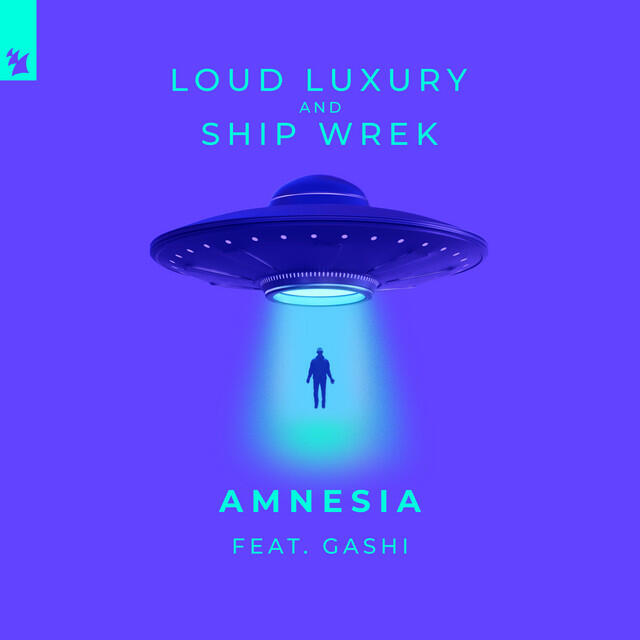 Постер альбома Amnesia