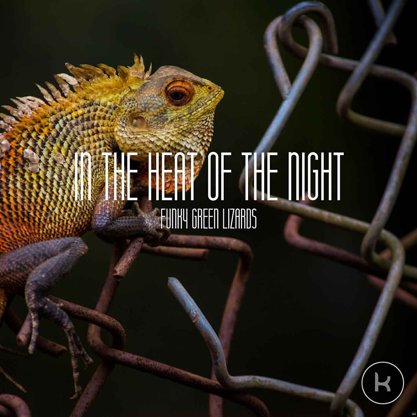 Релиз In the Heat of the Night