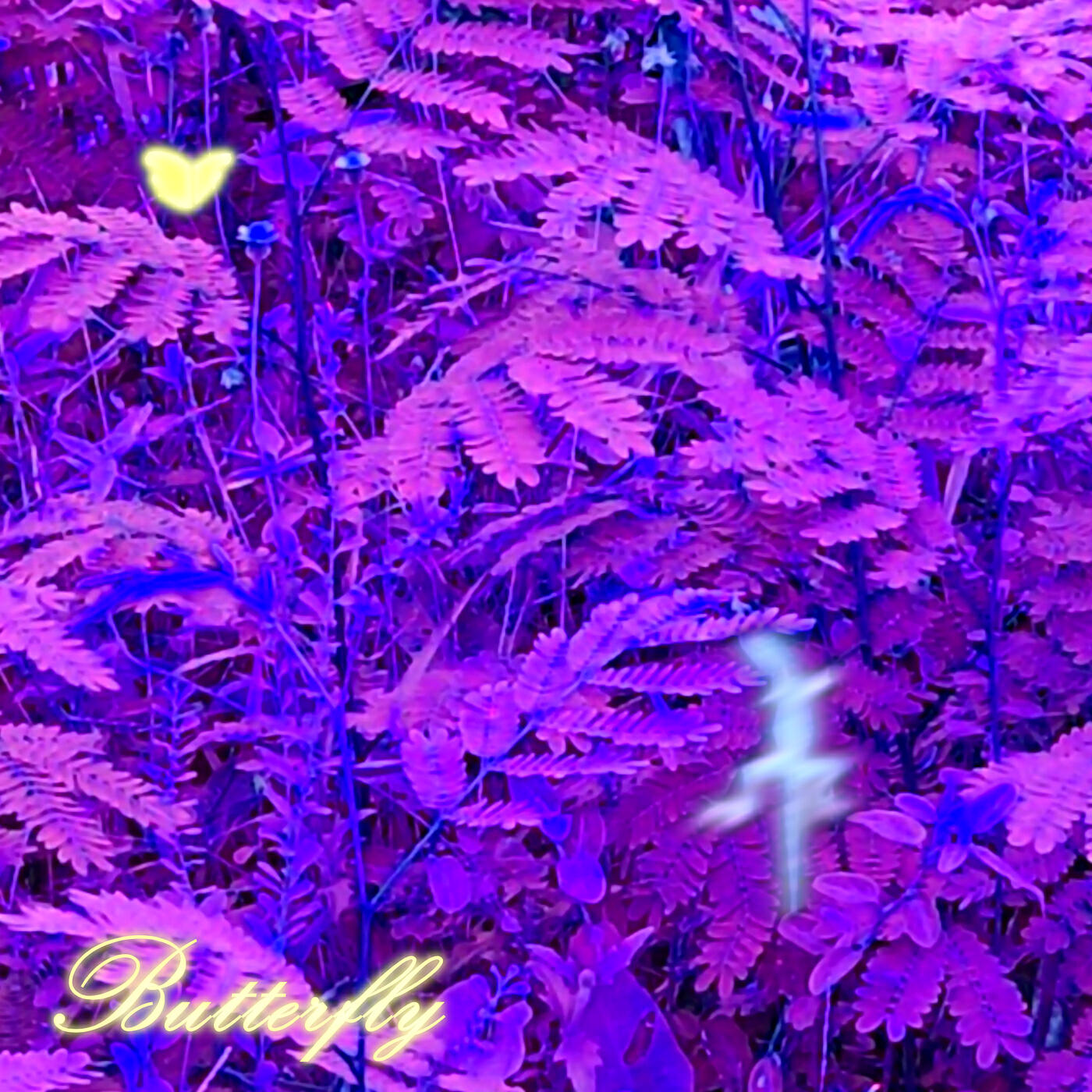 Релиз Butterfly