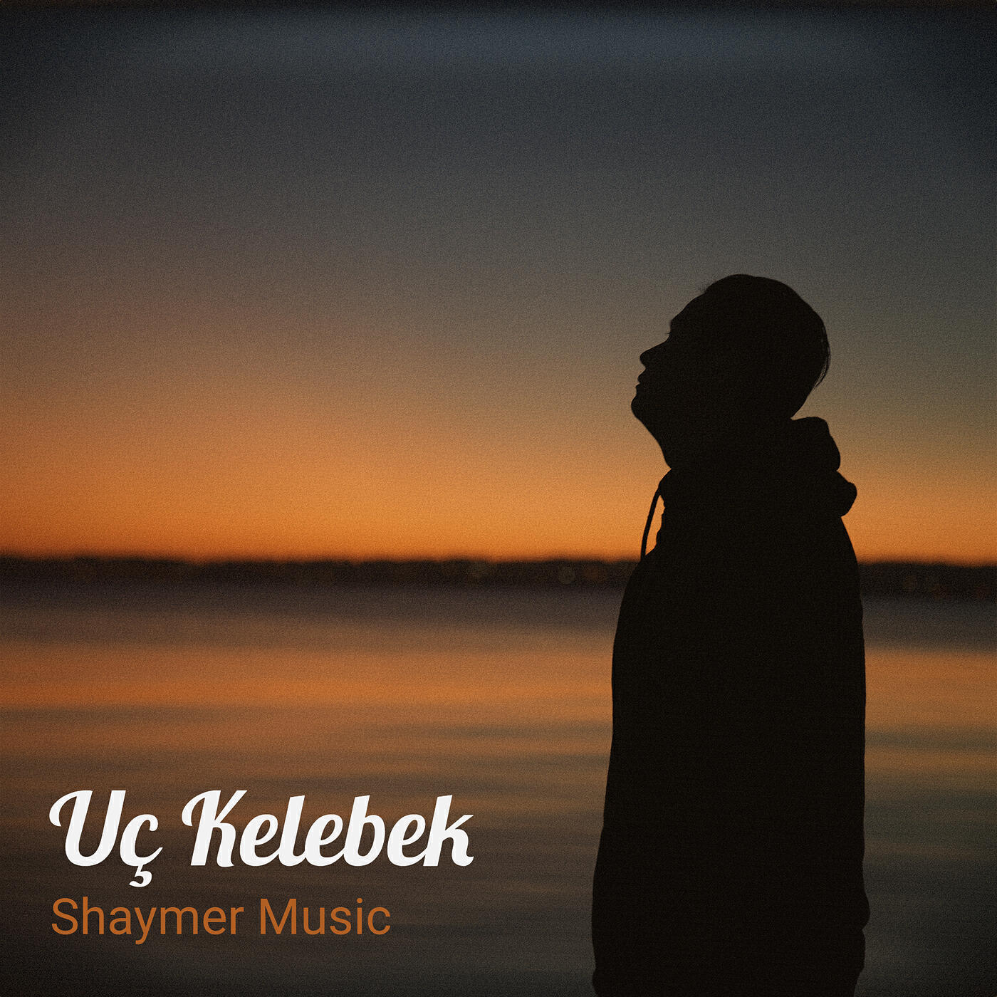 Релиз Uç Kelebek