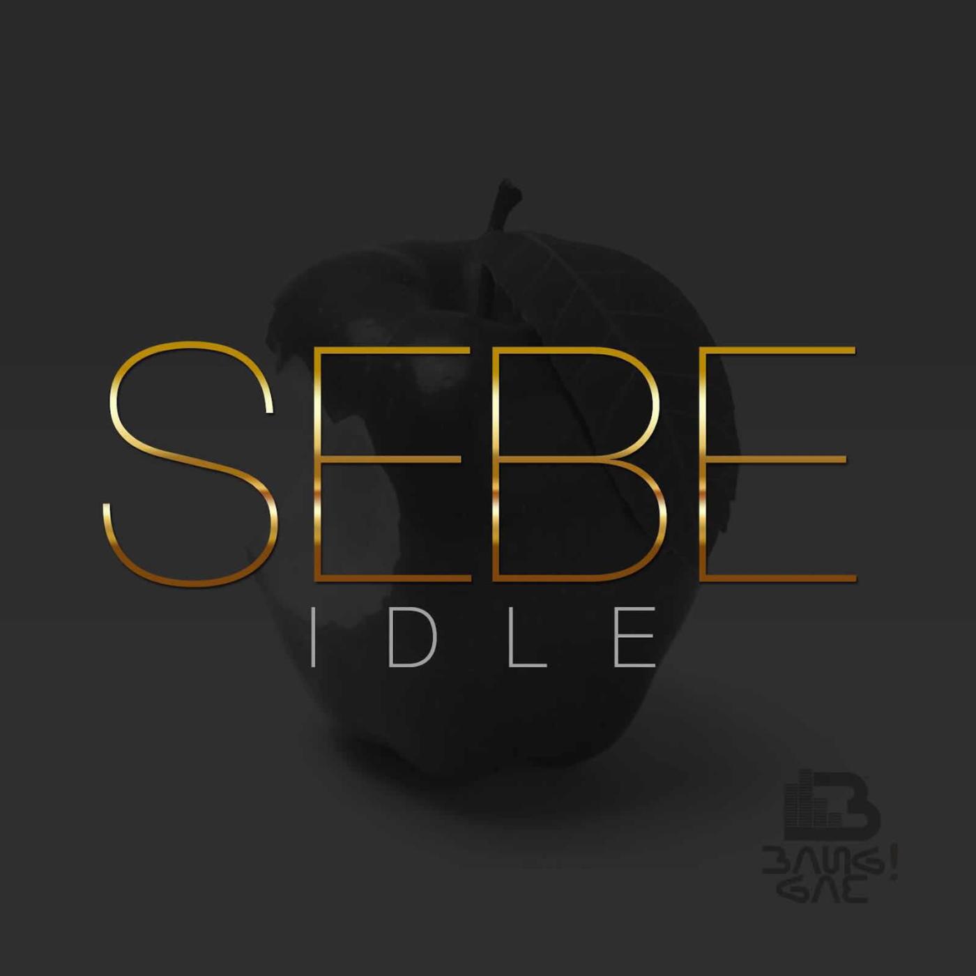 Релиз Sebe