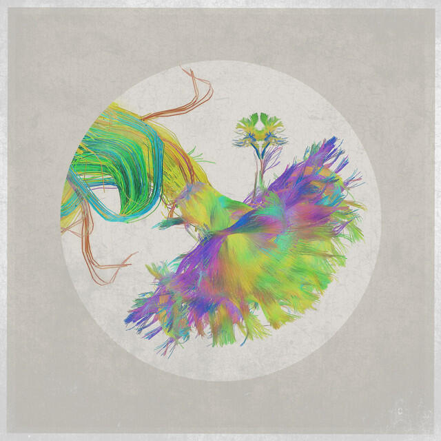 Релиз Changeophelia