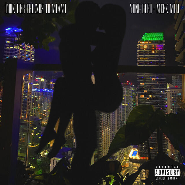 Релиз Friends To Miami (feat. Meek Mill)