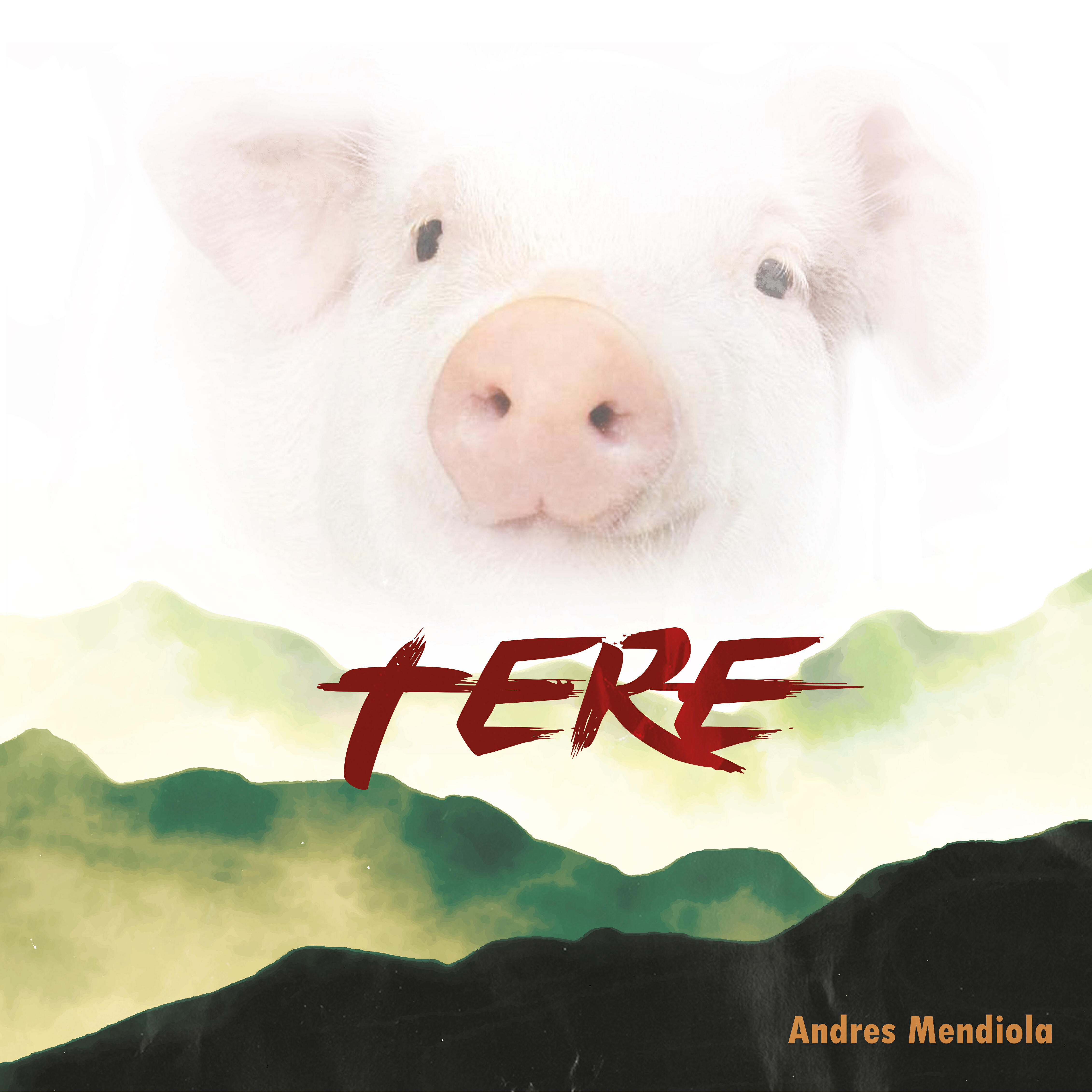 Релиз Tere