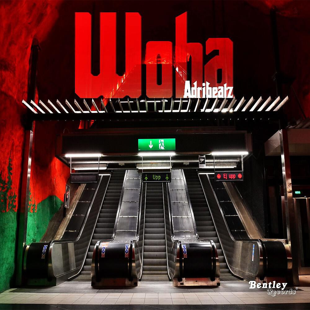 Релиз Woha