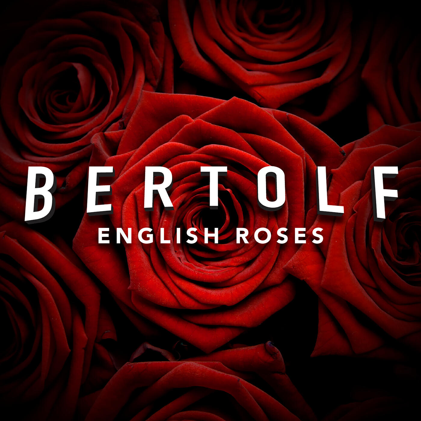 Трек English Roses