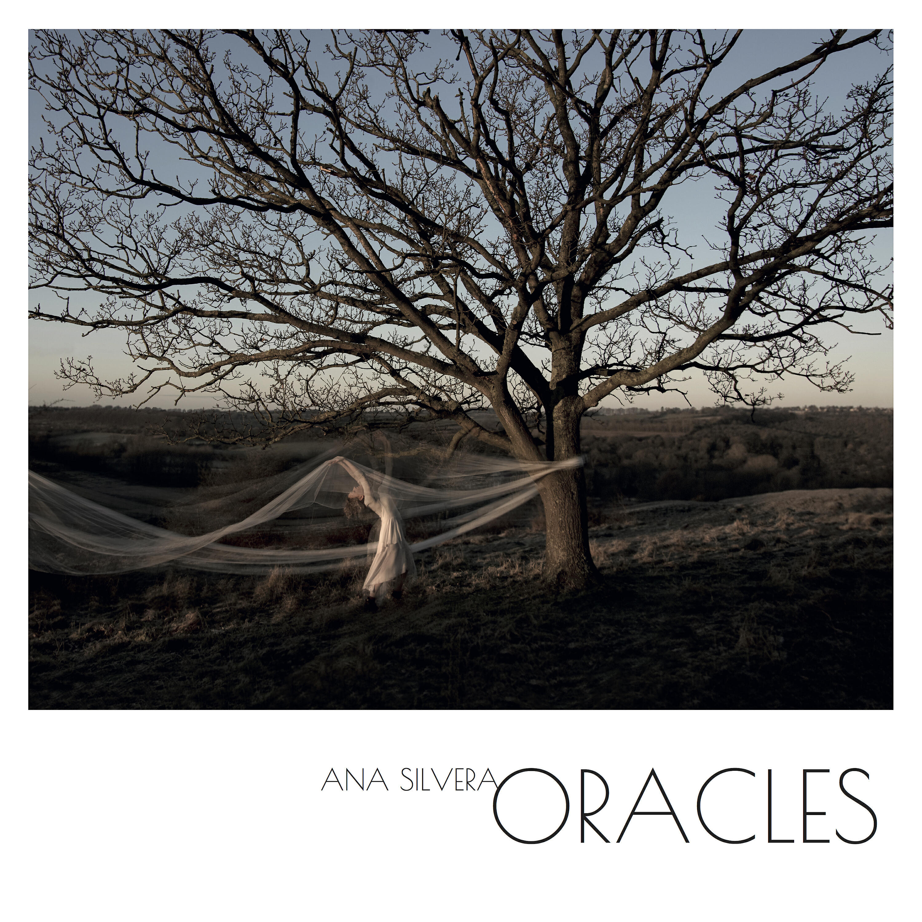 Релиз Oracles