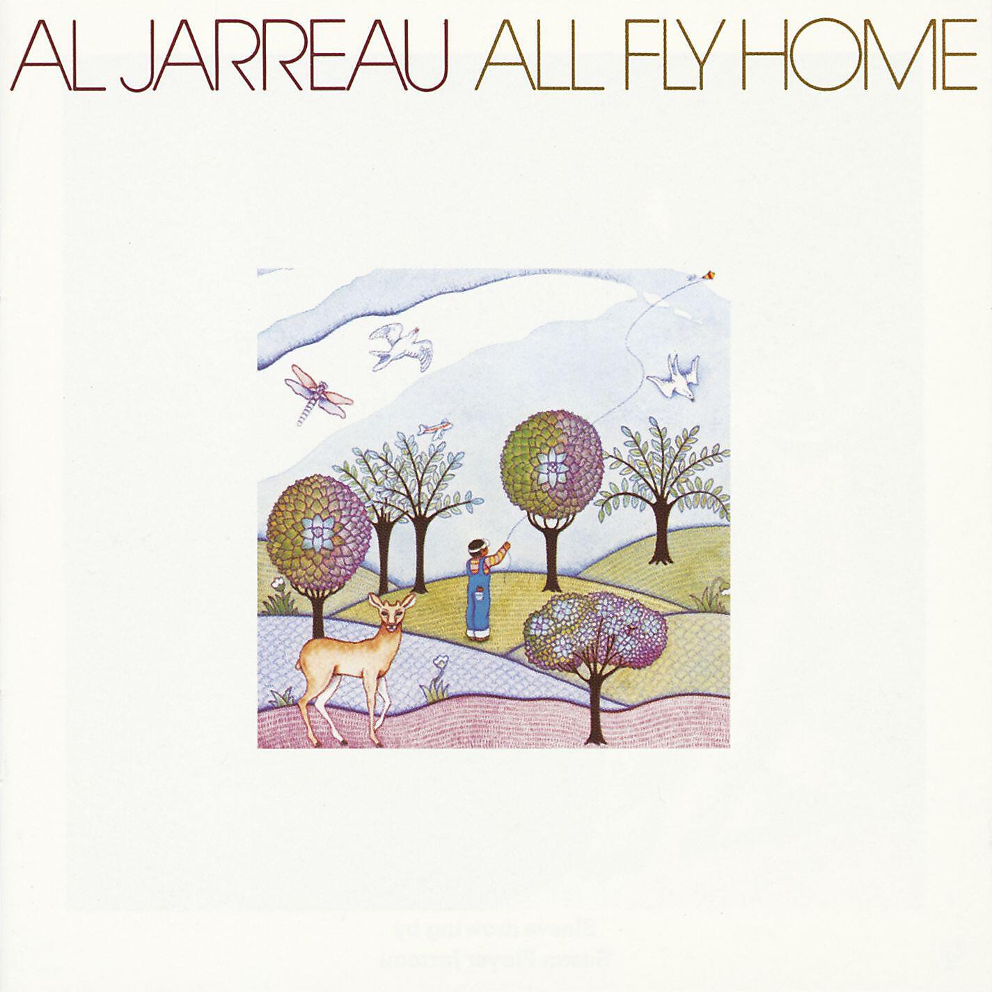 Релиз All Fly Home