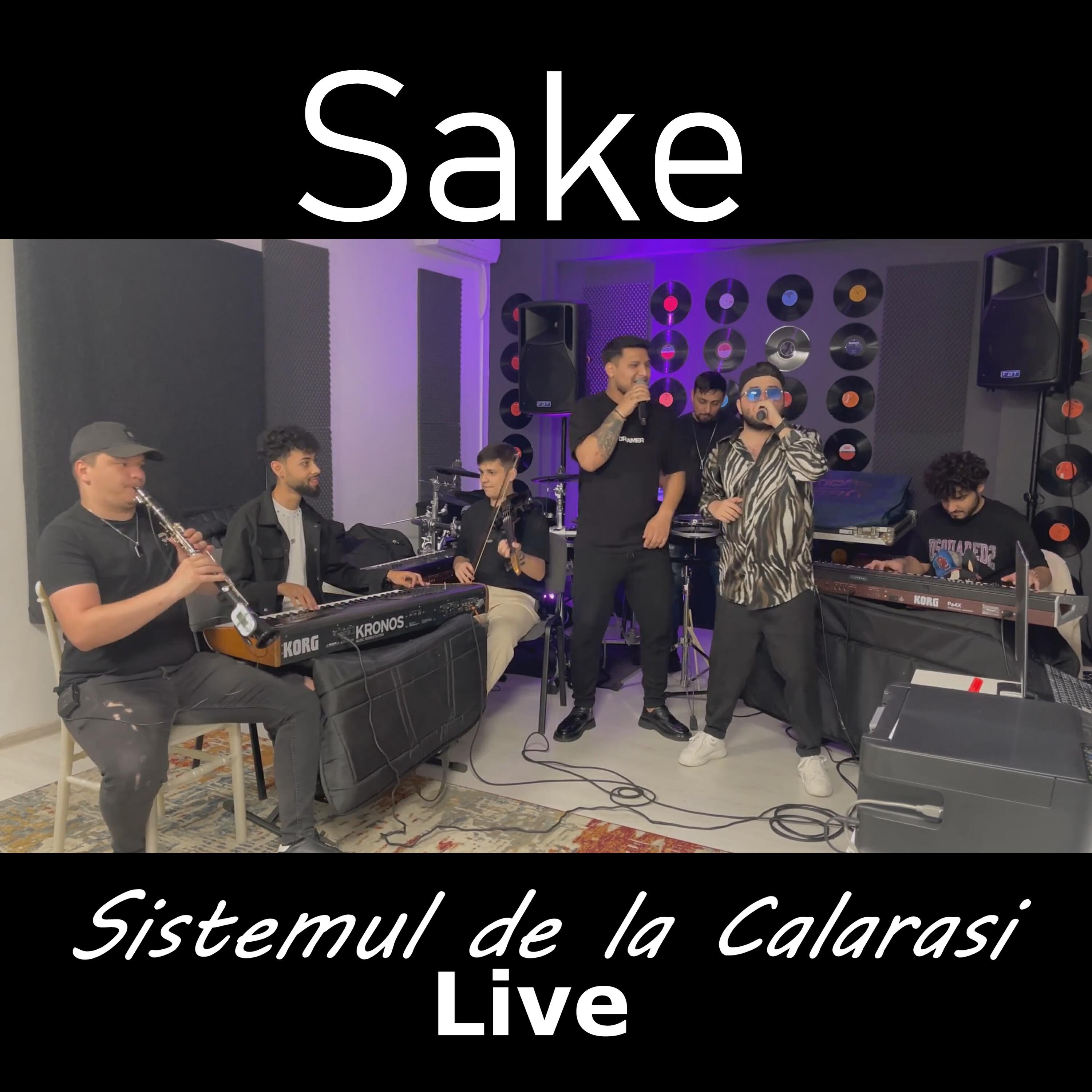 Релиз Sistemul de la Calarasi