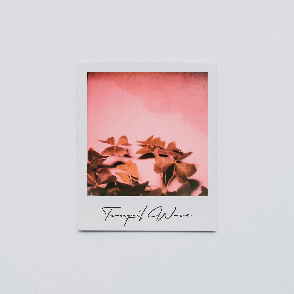 Релиз Tranquil Wave