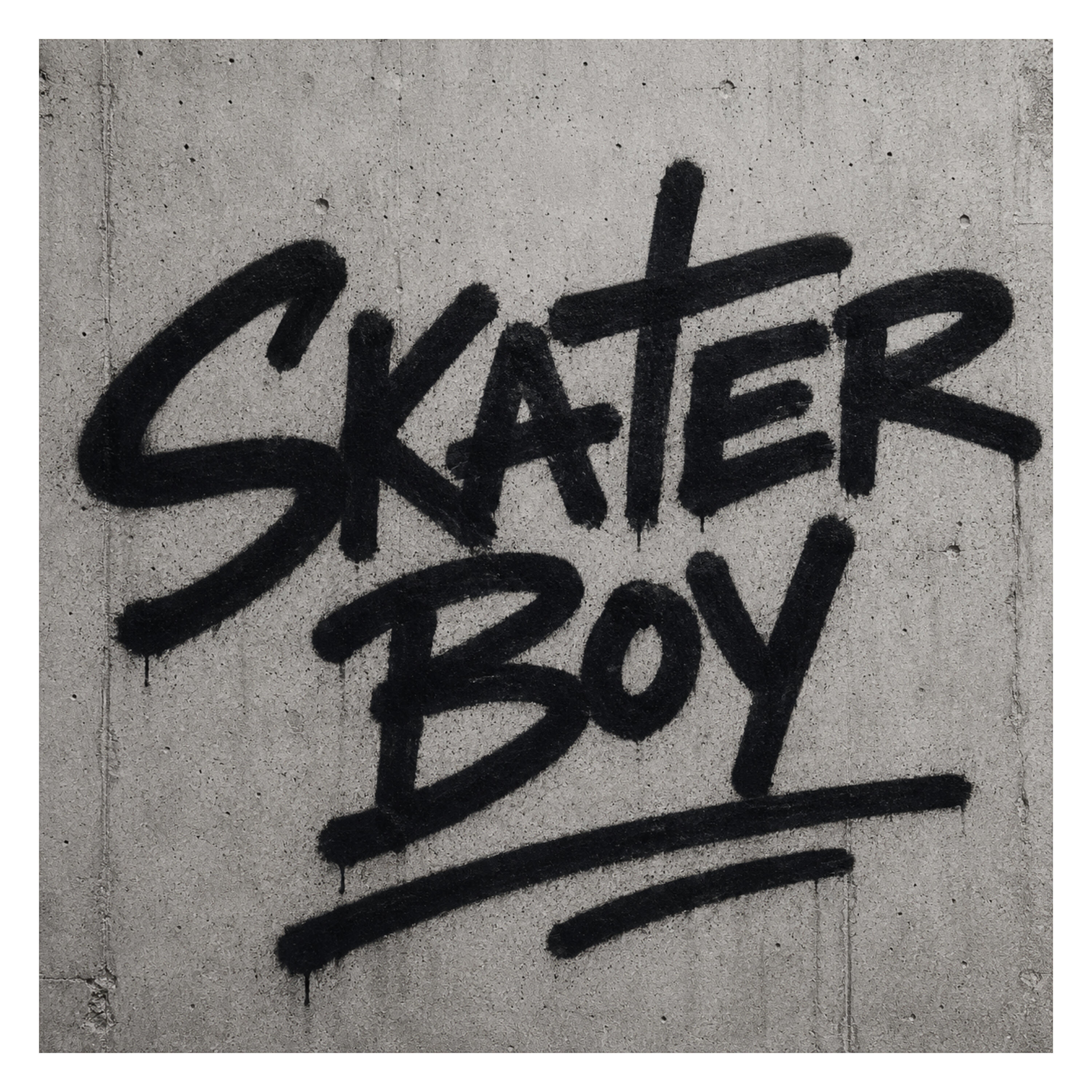 Релиз Skater Boy