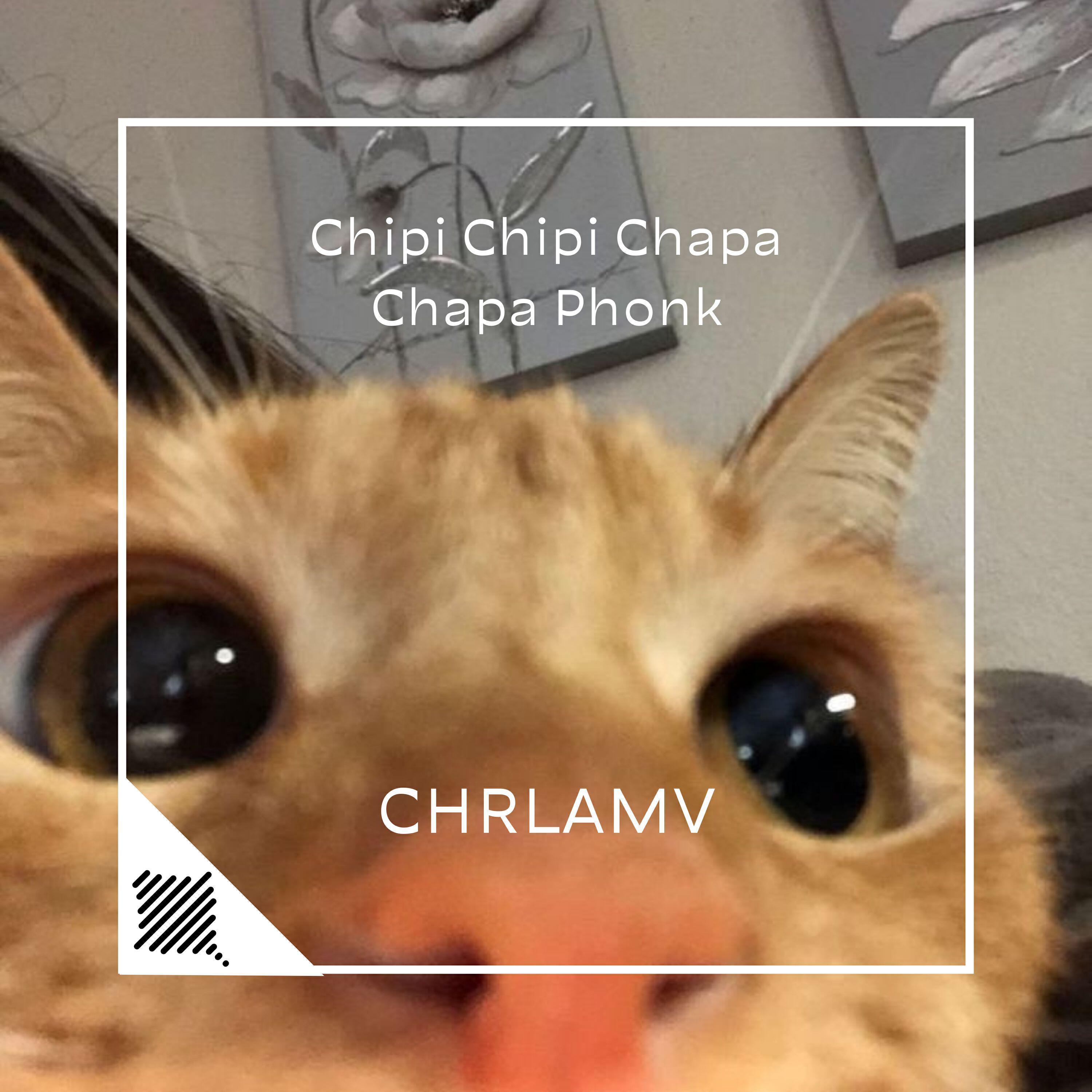 CHRLAMV
