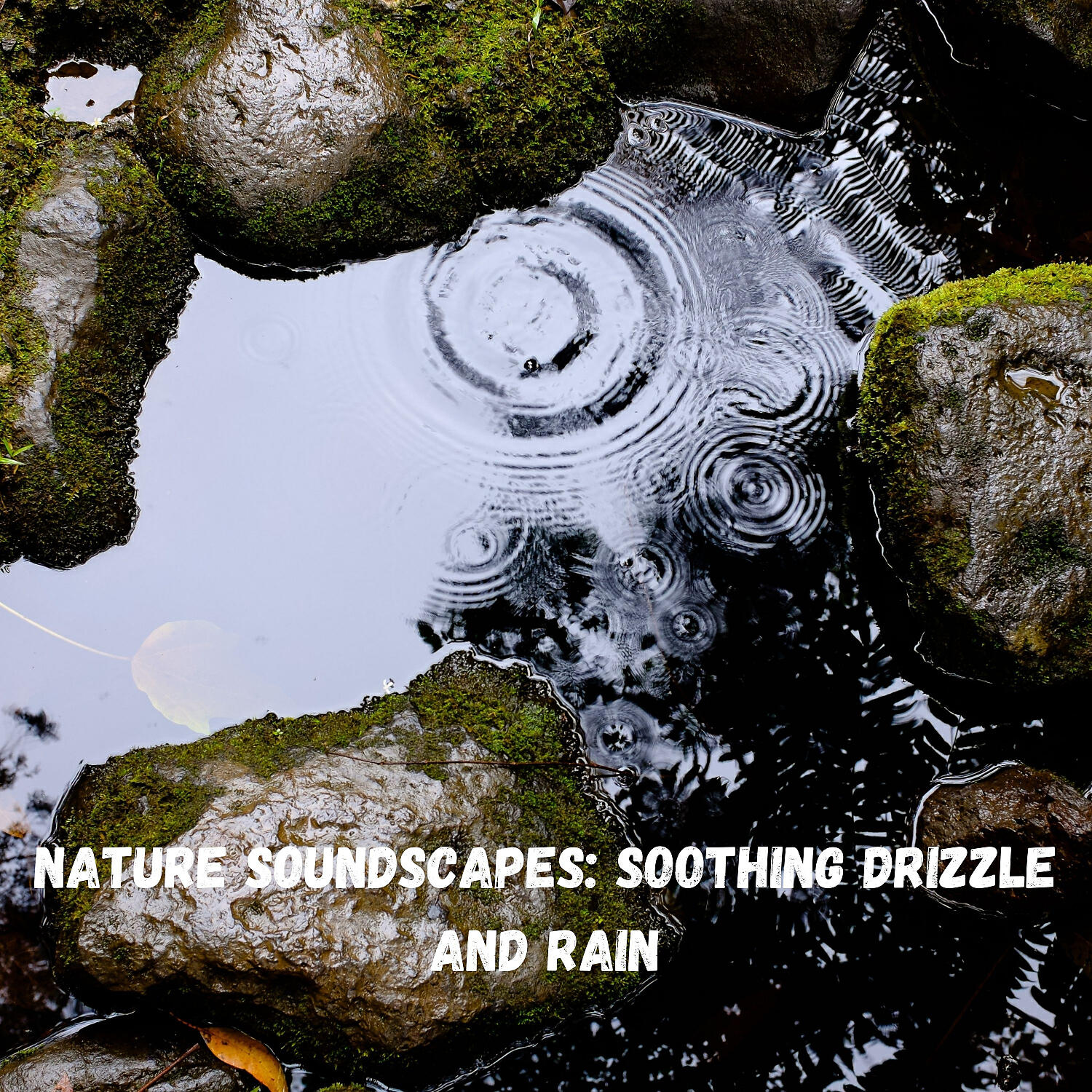 Weather and Nature Recordings & Nature Recordings & Alpha Waves - Bedtime Rain