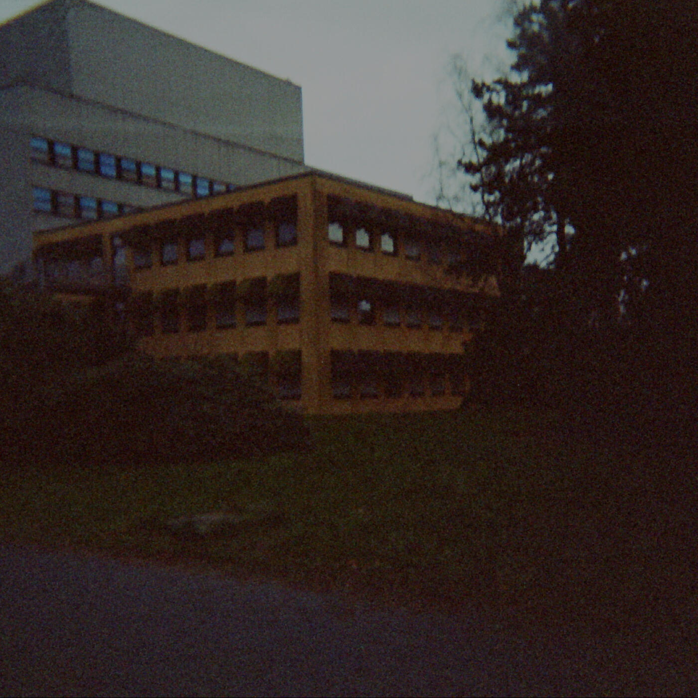 Релиз At Dawn, Nowhere