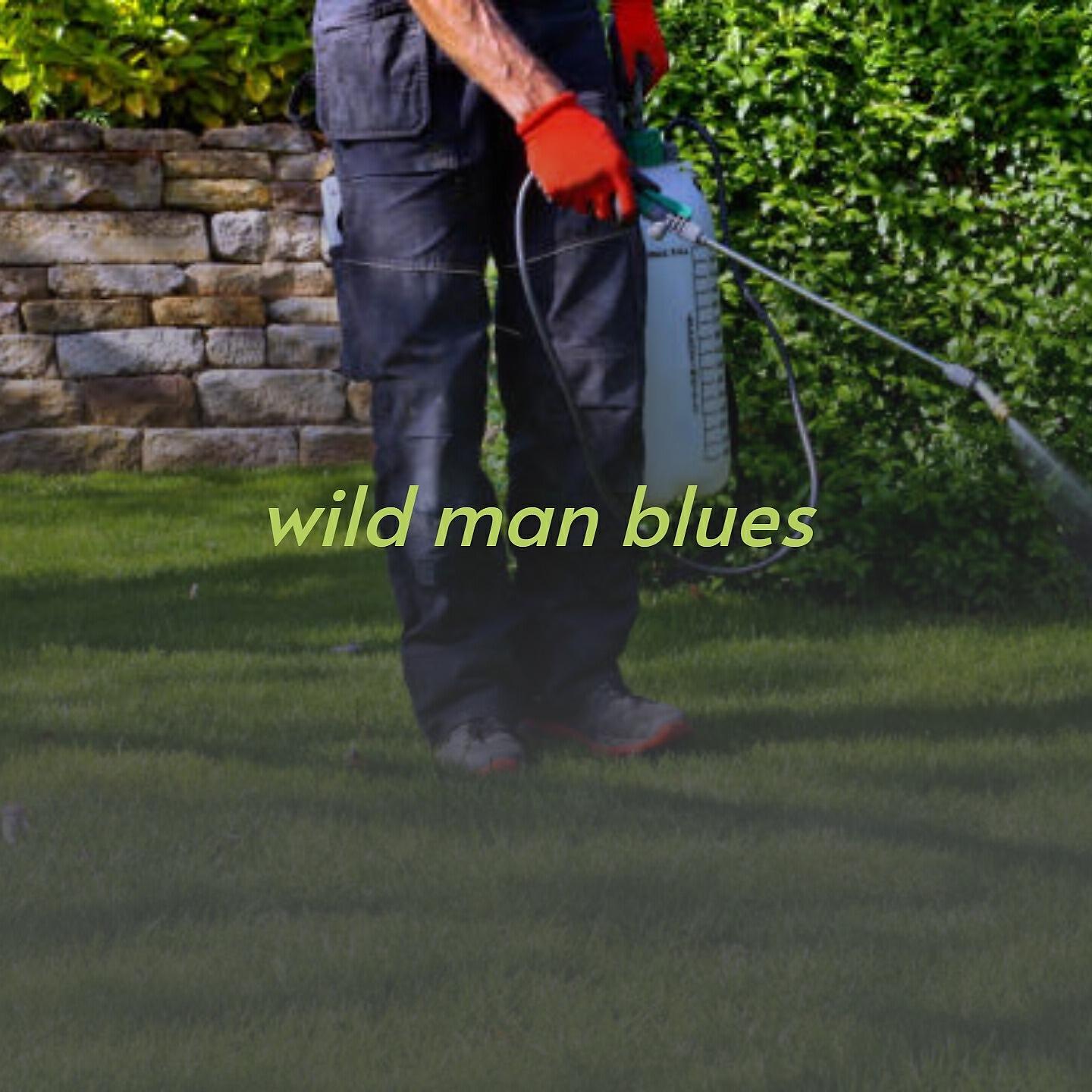 Релиз Wild Man Blues