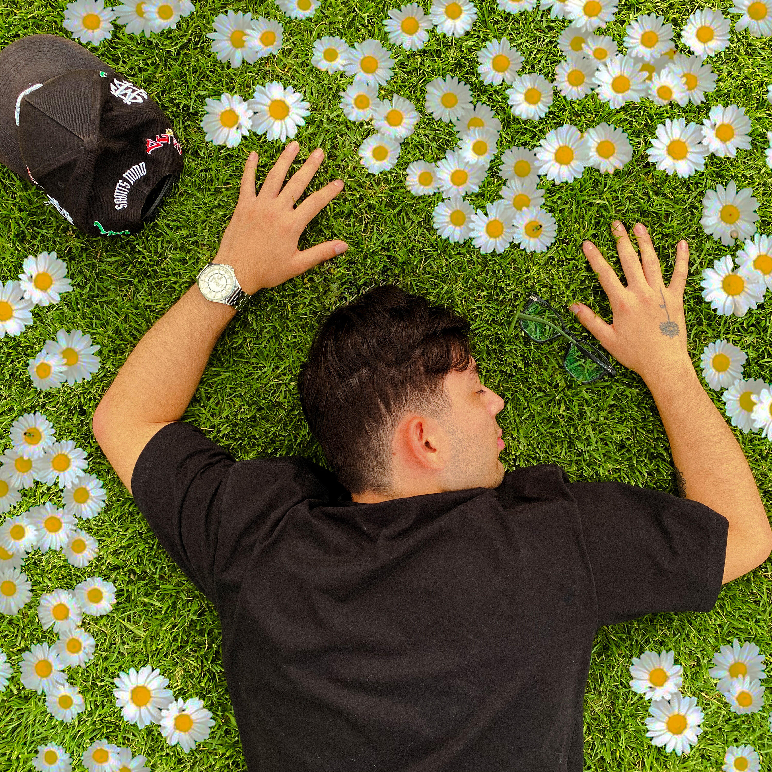 Релиз Without Daisies