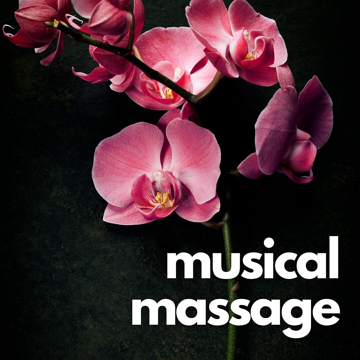 Calm Music, Wellness, Spa, Sleep Songs 101 - Musical Massage, Pt. 1