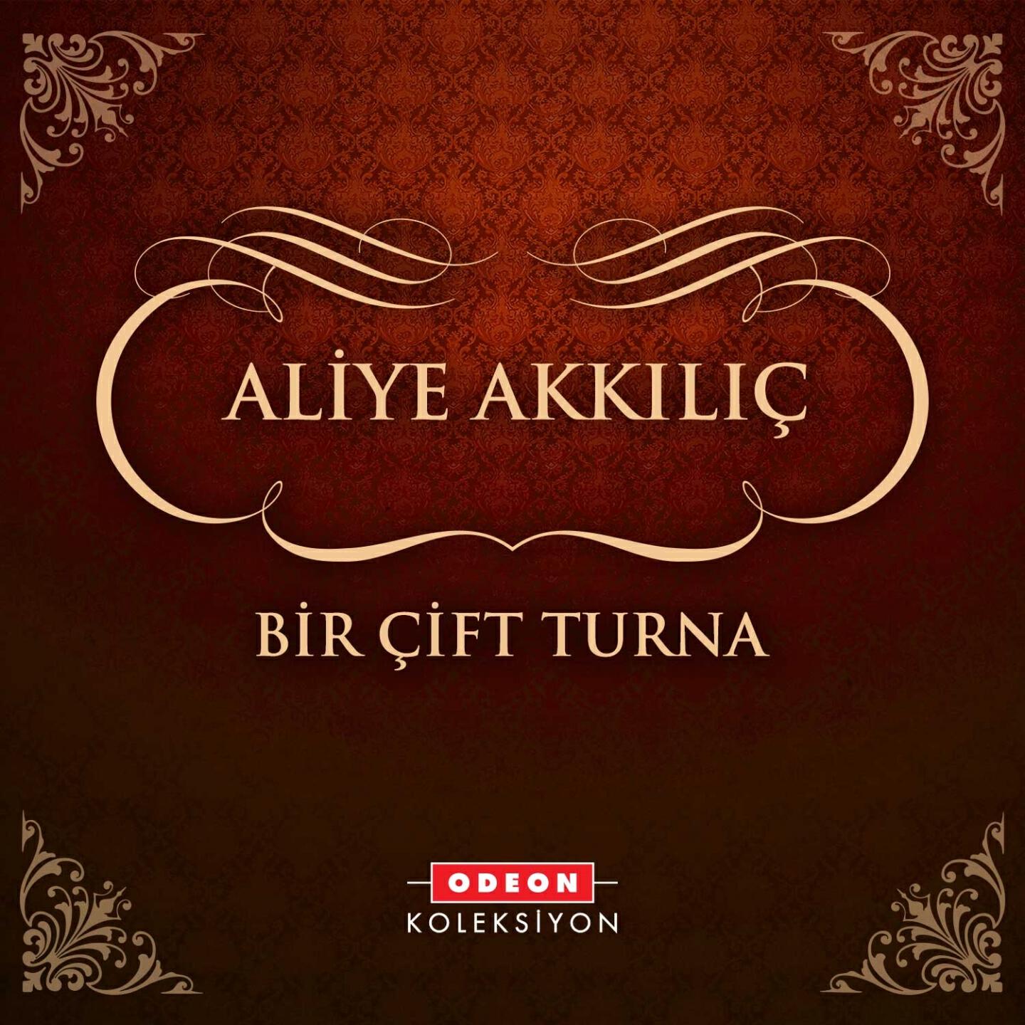 Релиз Bir Çift Turna