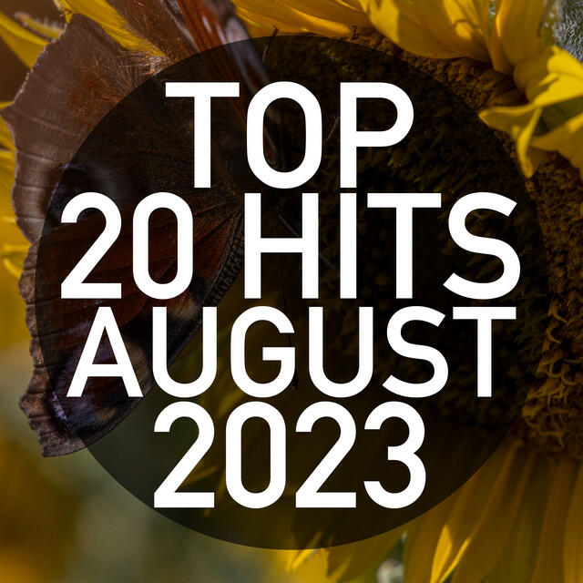 Релиз Top 20 Hits August 2023 (Instrumental)