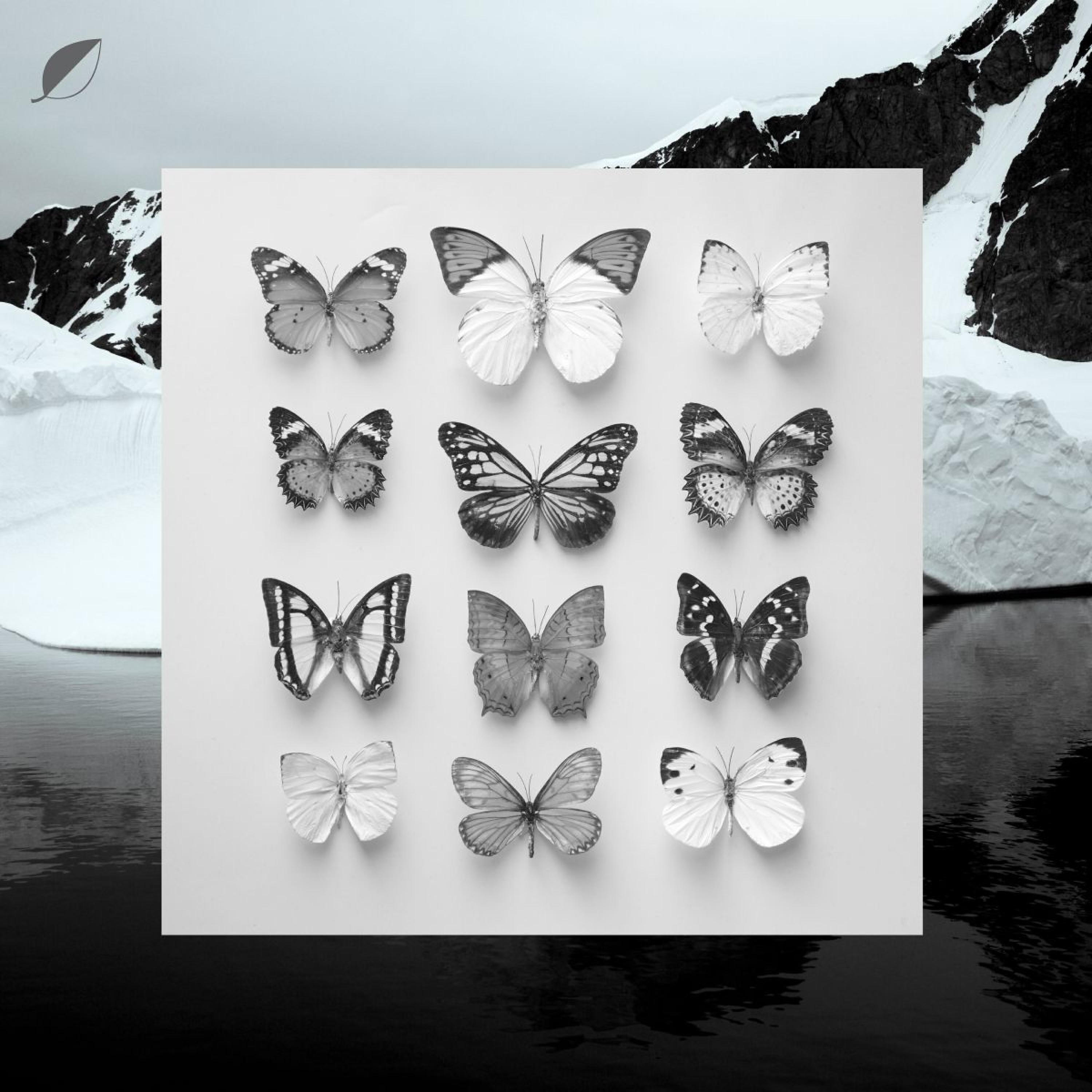 Релиз Young Alaska