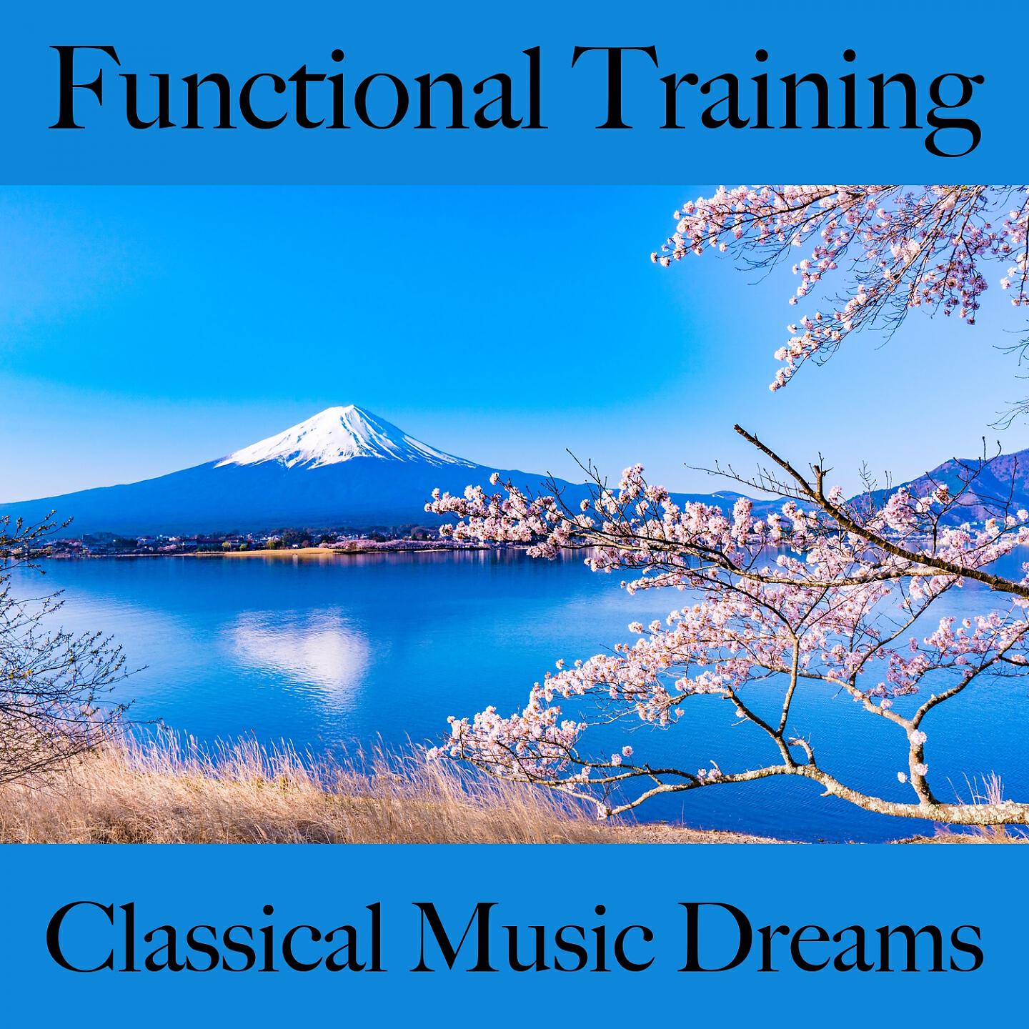 Релиз Functional Training: Classical Music Dreams - Die Besten Sounds Zum Workout