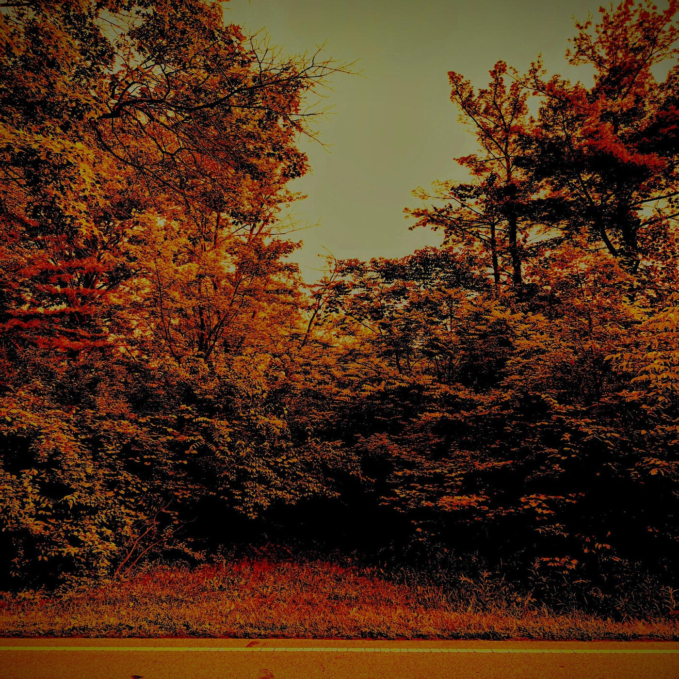 Релиз Far Around