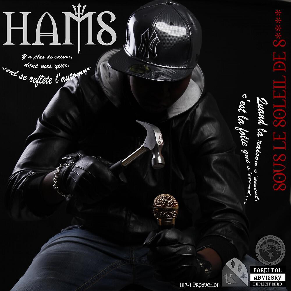 H.A.M.S.