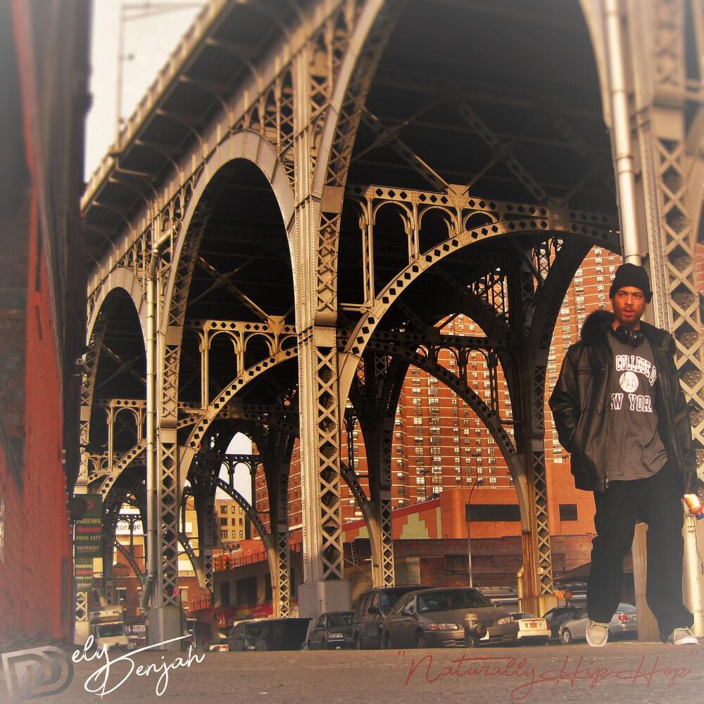 Релиз ''Naturally Hip-Hop''