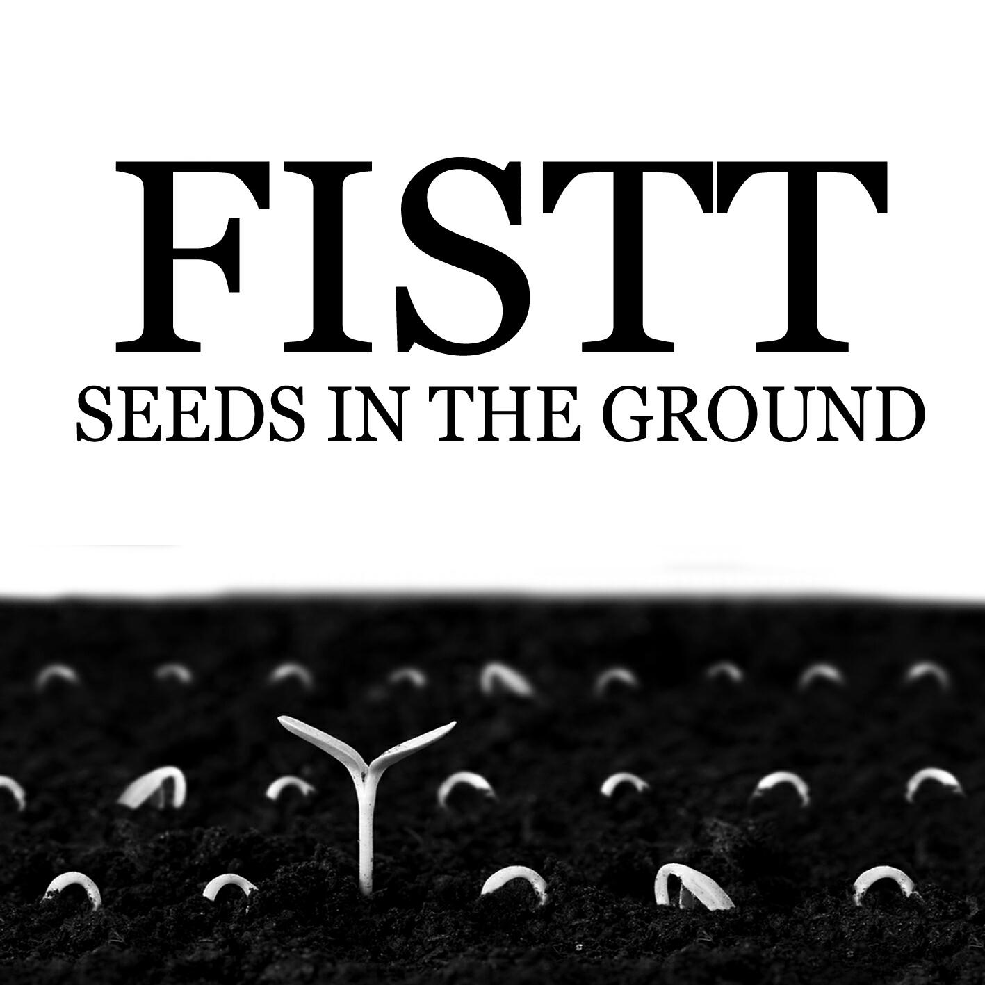 Релиз Seeds in the Ground
