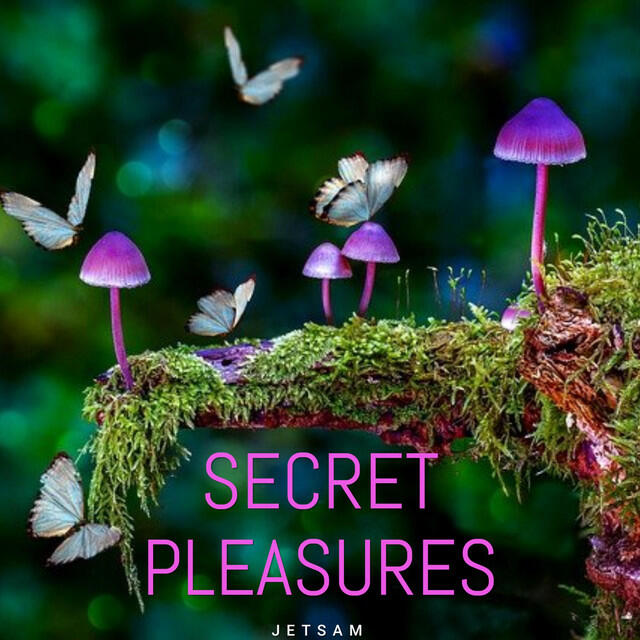 Релиз Secret Pleasures