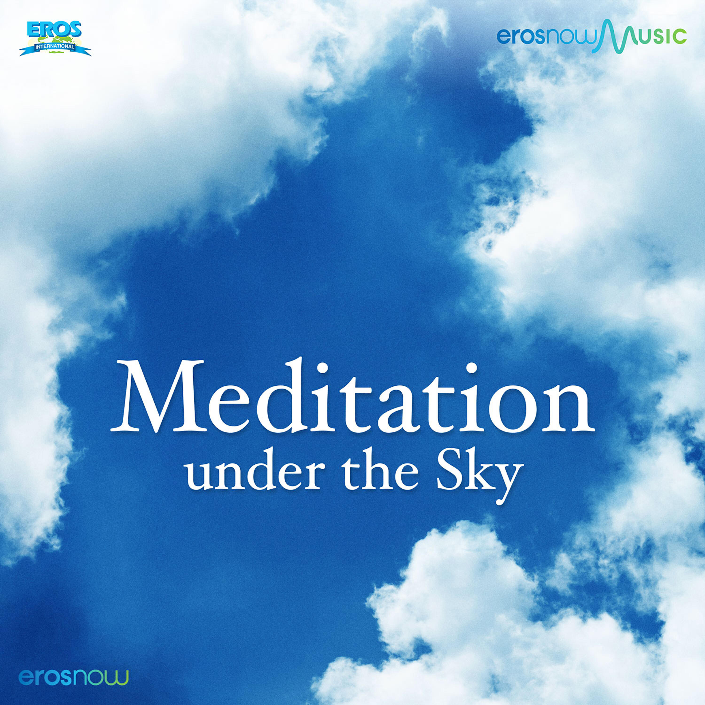 Релиз Meditation Under The Skies