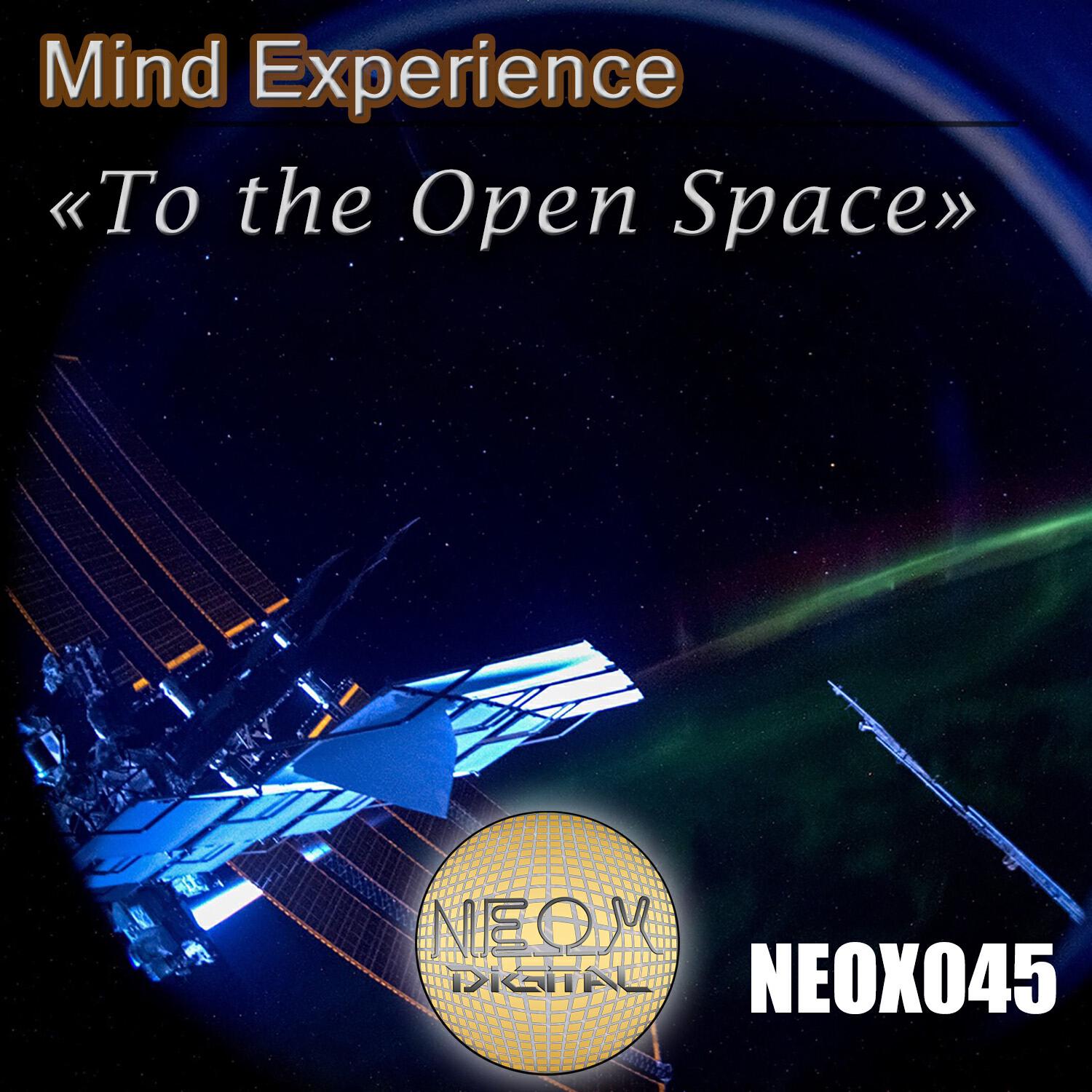 Mind Experience