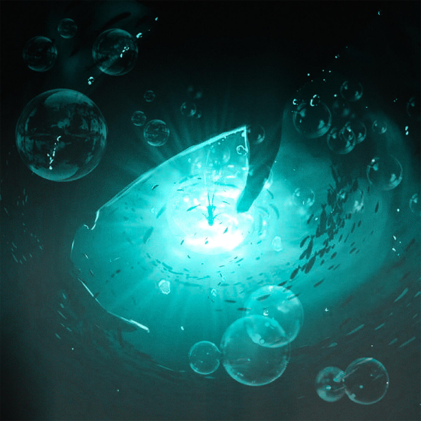 Splawow!