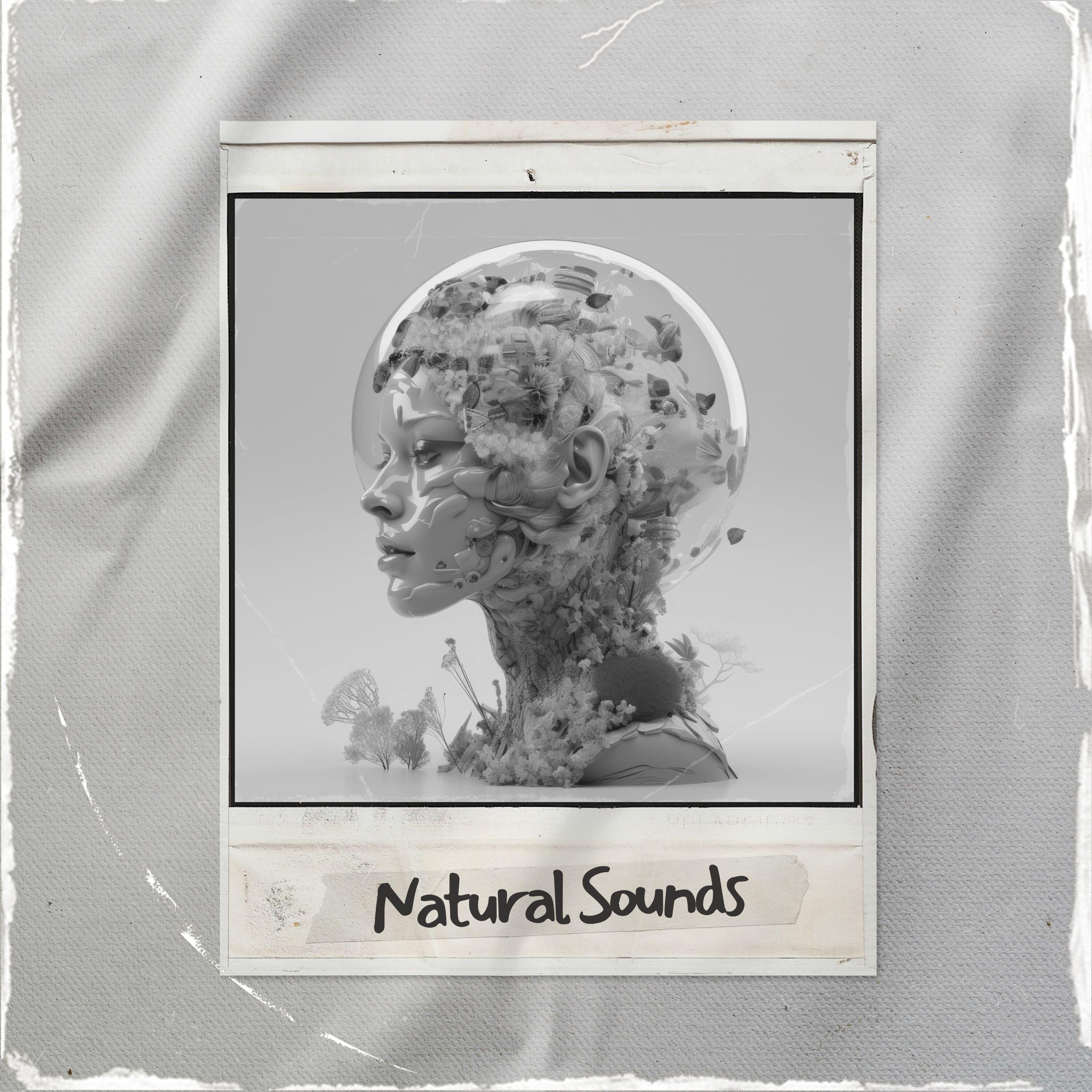 Релиз Natural Sounds