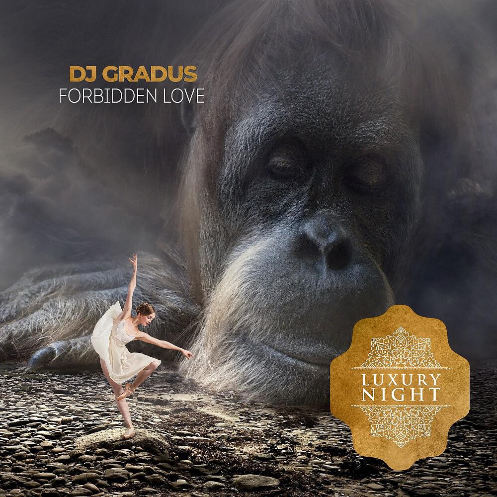 Релиз Forbidden Love