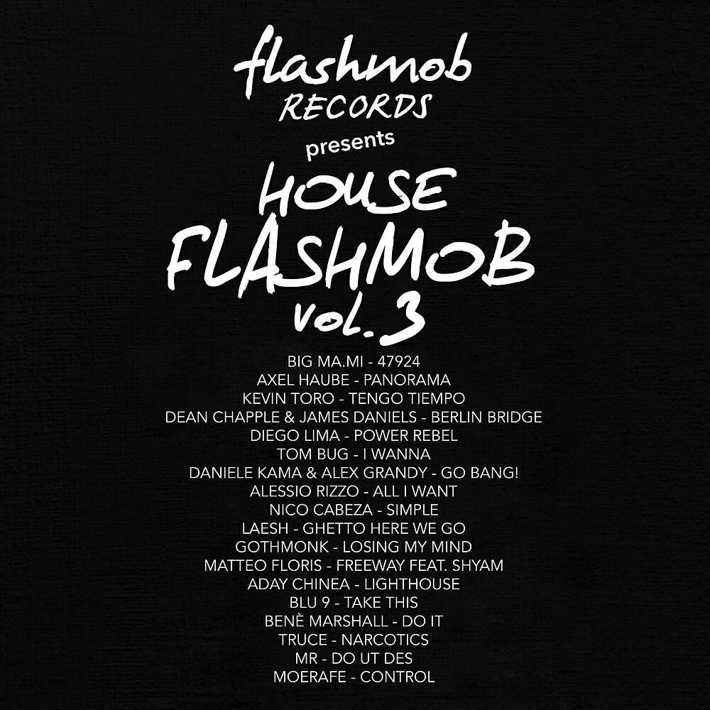 Постер альбома House Flashmob, Vol. 3
