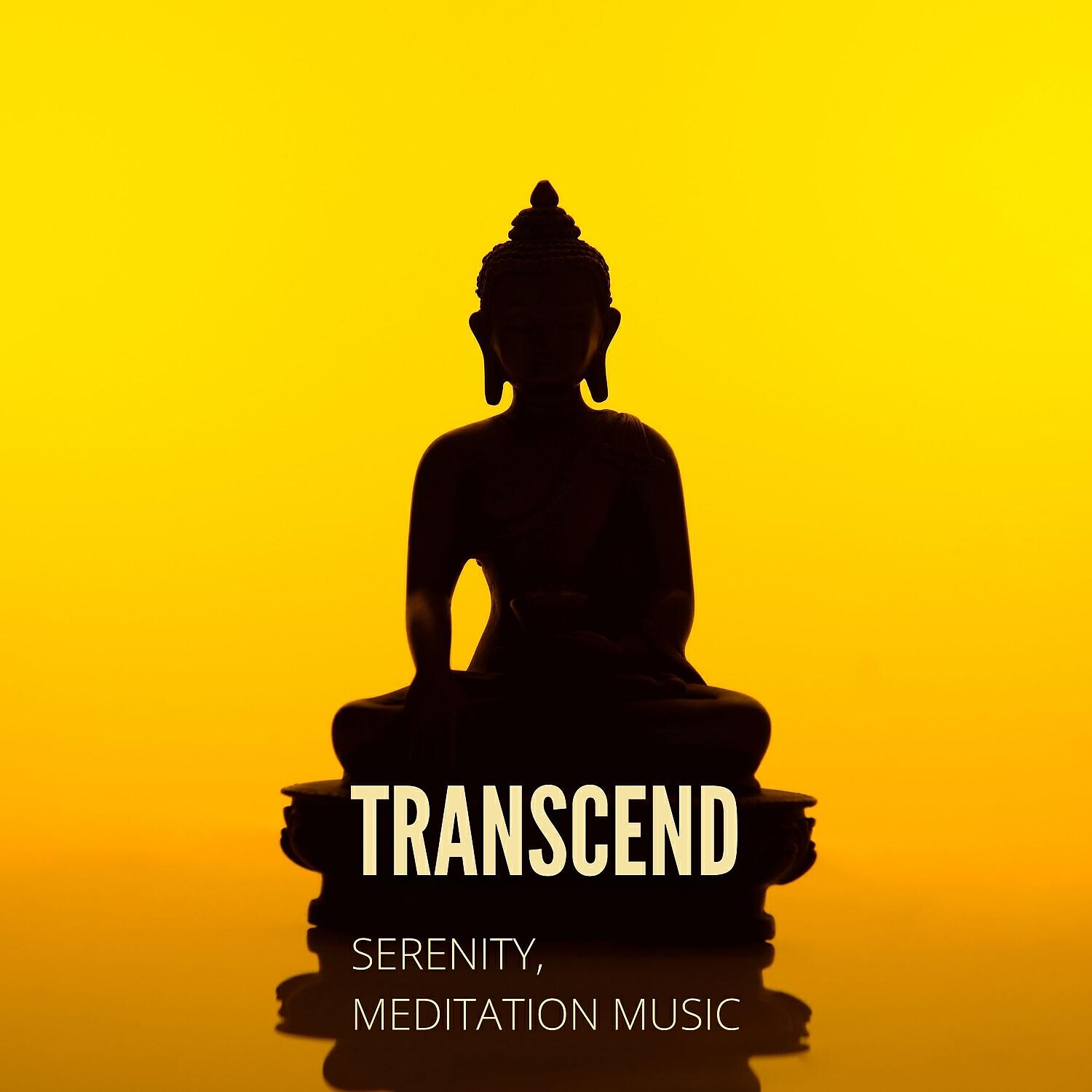 Релиз Transcend