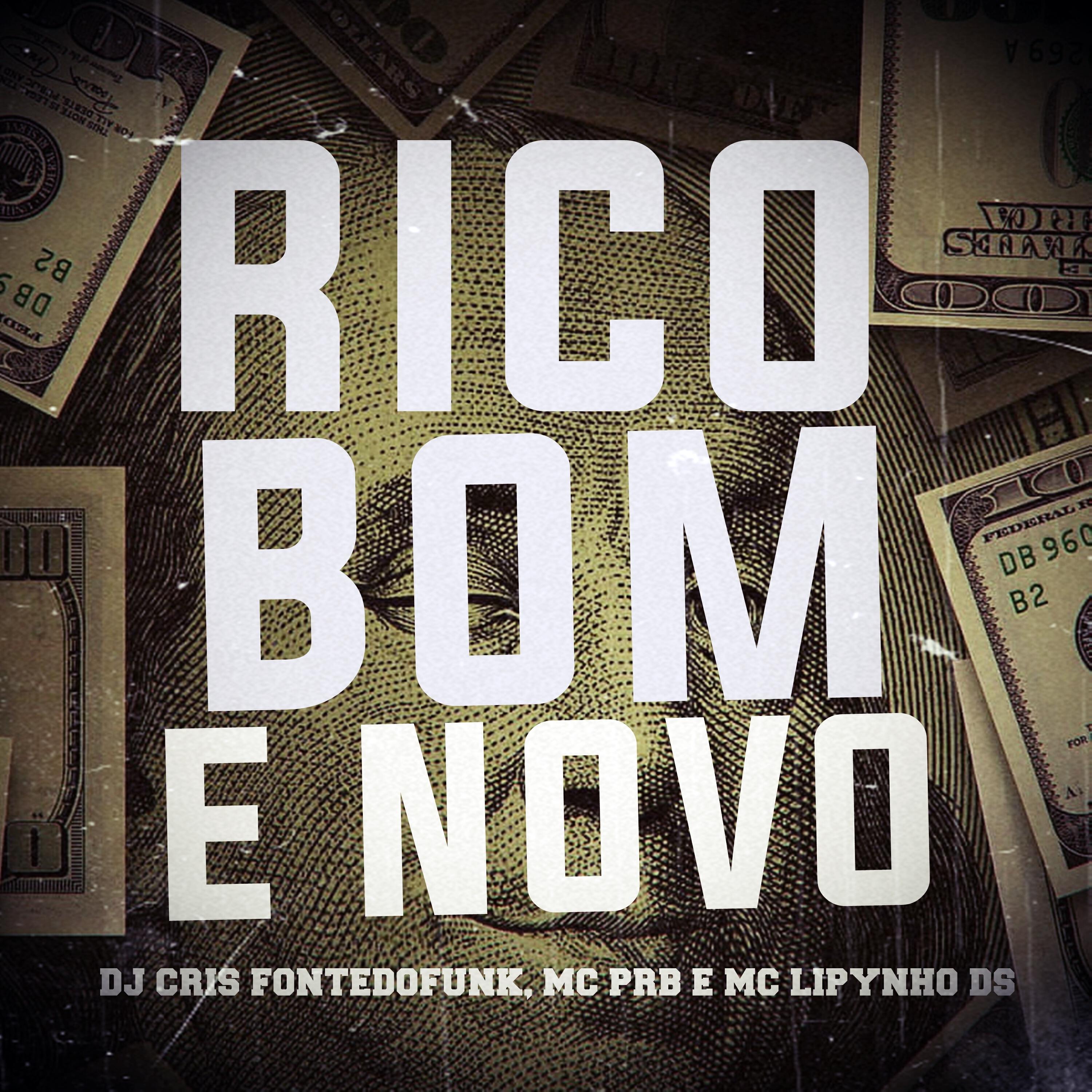 Постер альбома Rico Bom e Novo