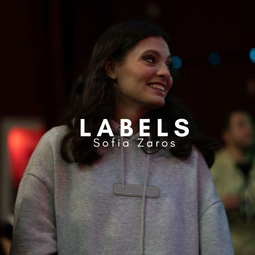 Релиз Labels