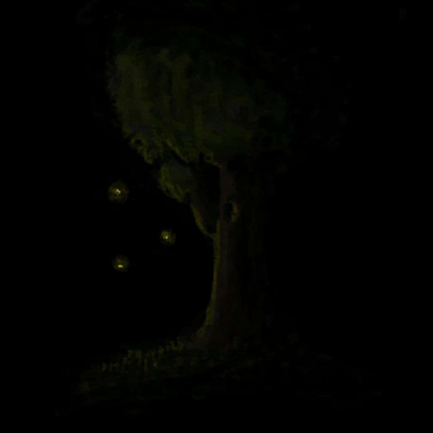 Релиз НЕВНЯТНЫЕ РАЗМЫШЛЕНИЯ