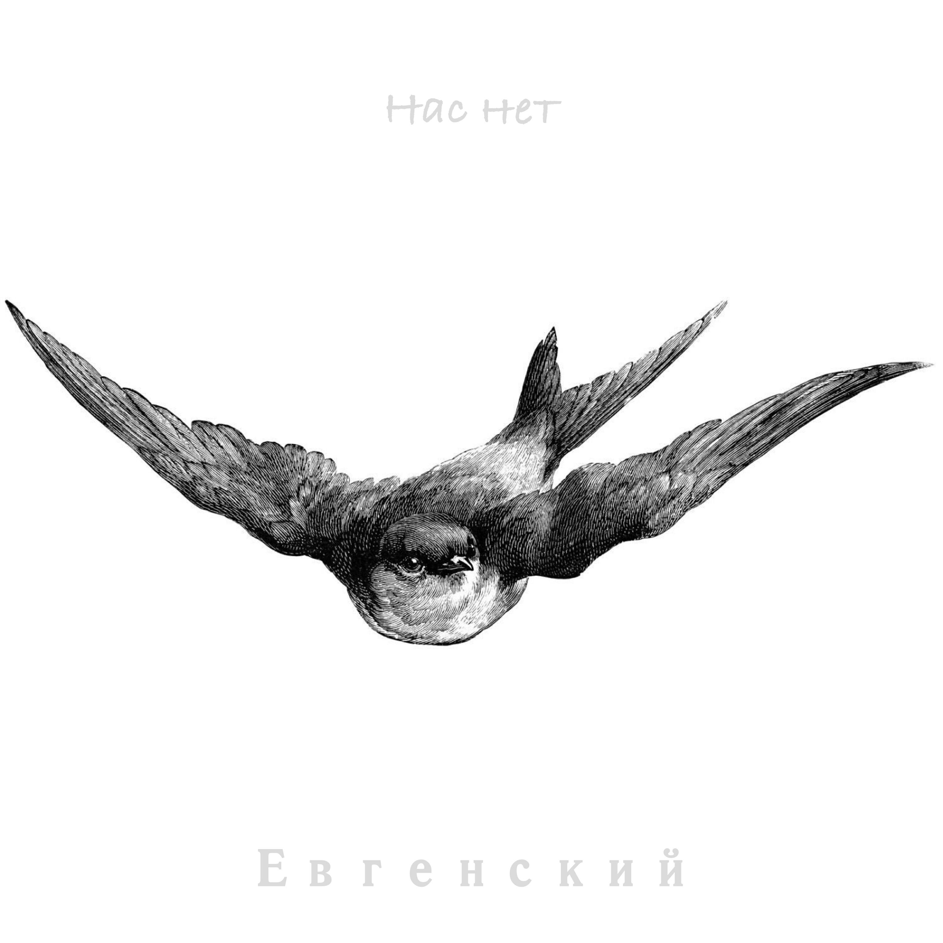 Релиз Нас нет
