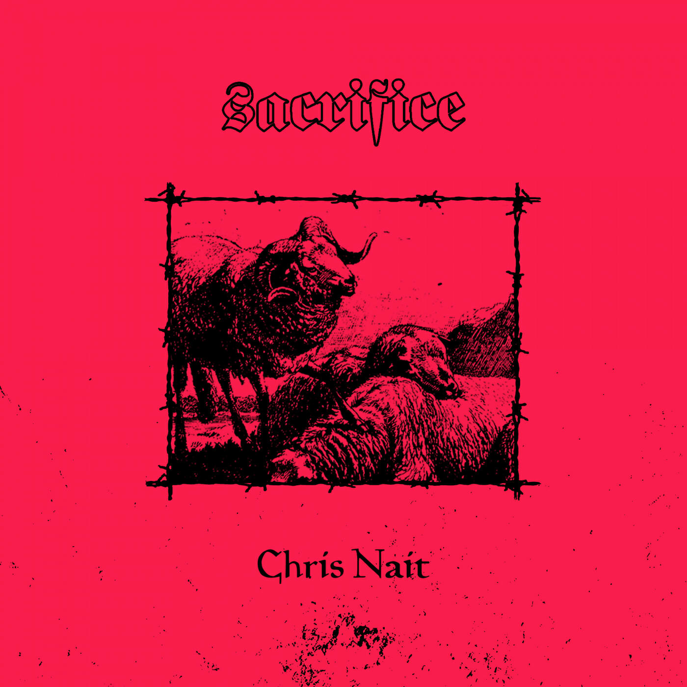 Chris Nait (AT)